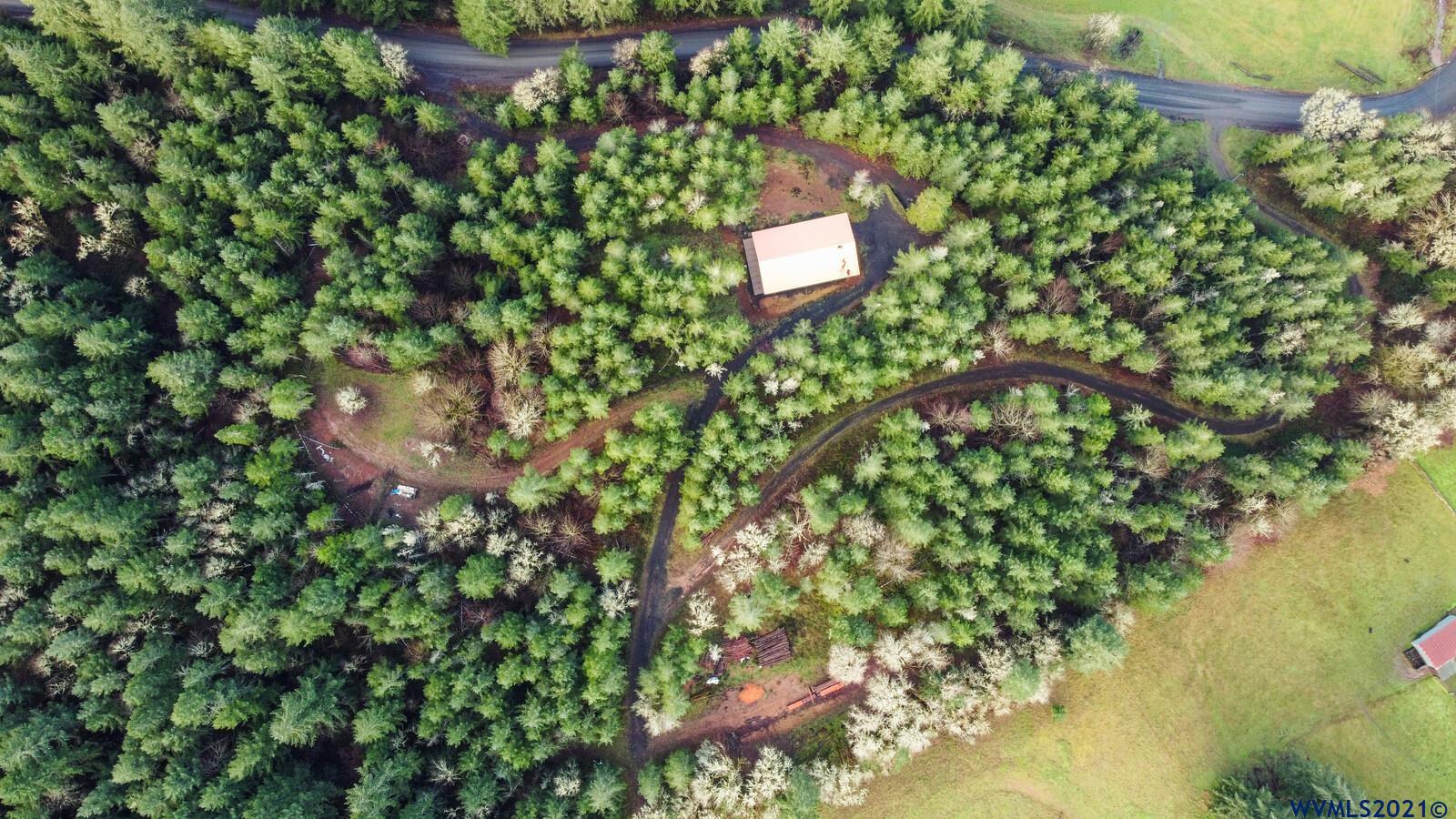 4736 Liberty Road Dallas, OR 97338 - Photo 6 of 21 a picture of a tree