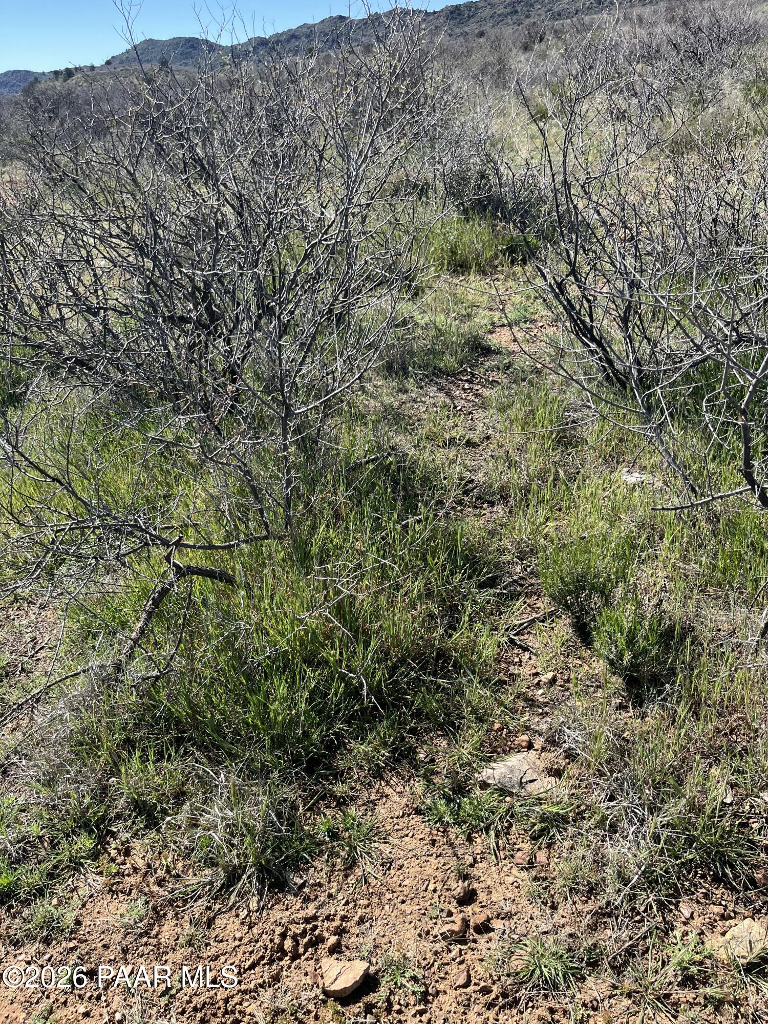 0 South Walnut Grove Road Kirkland, AZ 86332 - Photo 13 of 16 IMG_8019