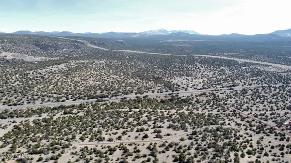 an aerial view of houses covered in trees