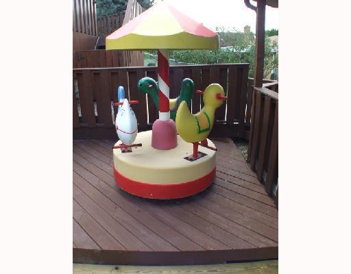 136 Kentzel Road Pittsburgh, PA 15237 - Photo 3 of 8 Exterior Back. The Kids can Merry Go Round in your own back yard!