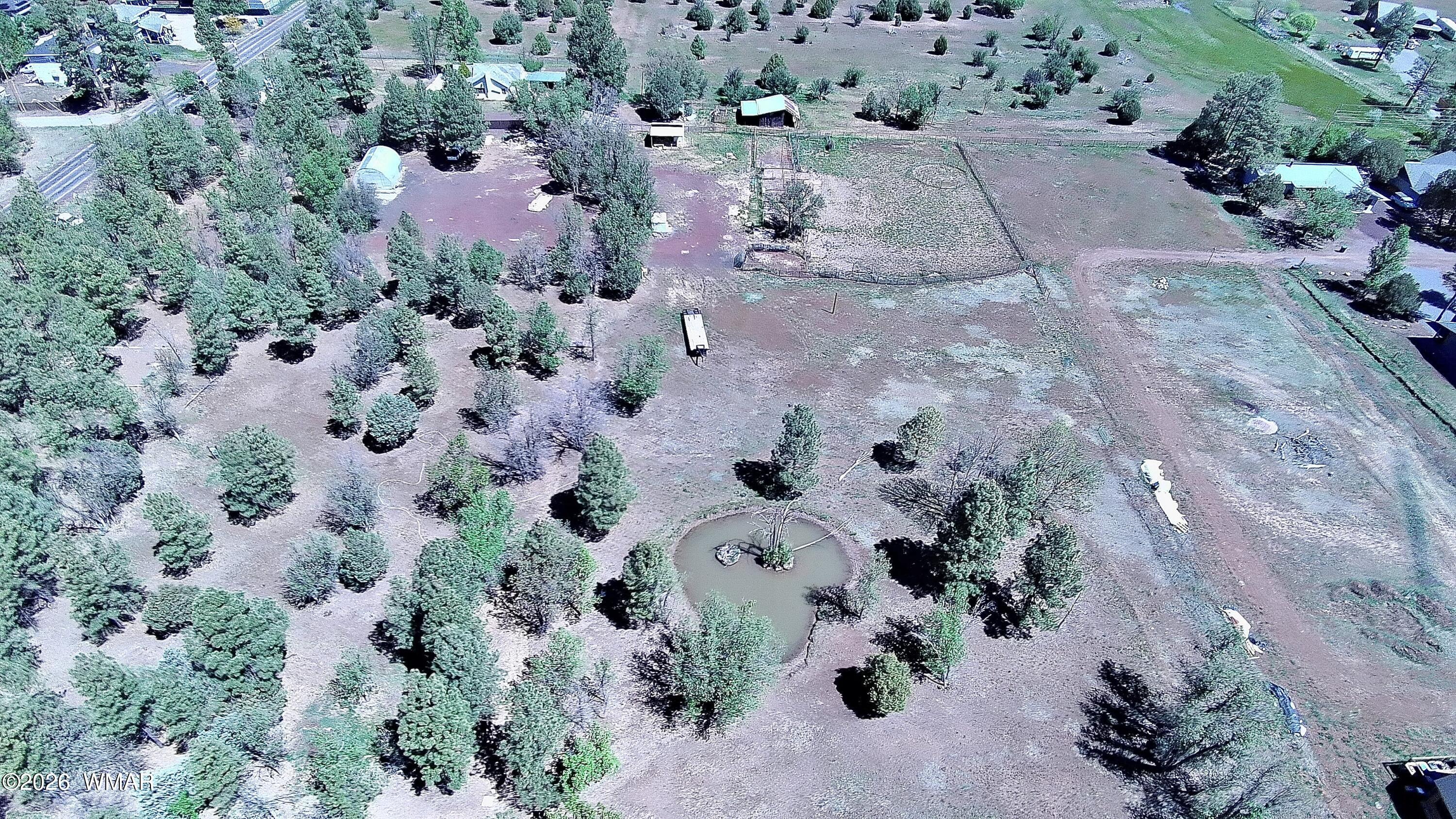 1321 South Woodland Road Lakeside, AZ 85929 - Photo 10 of 24 10