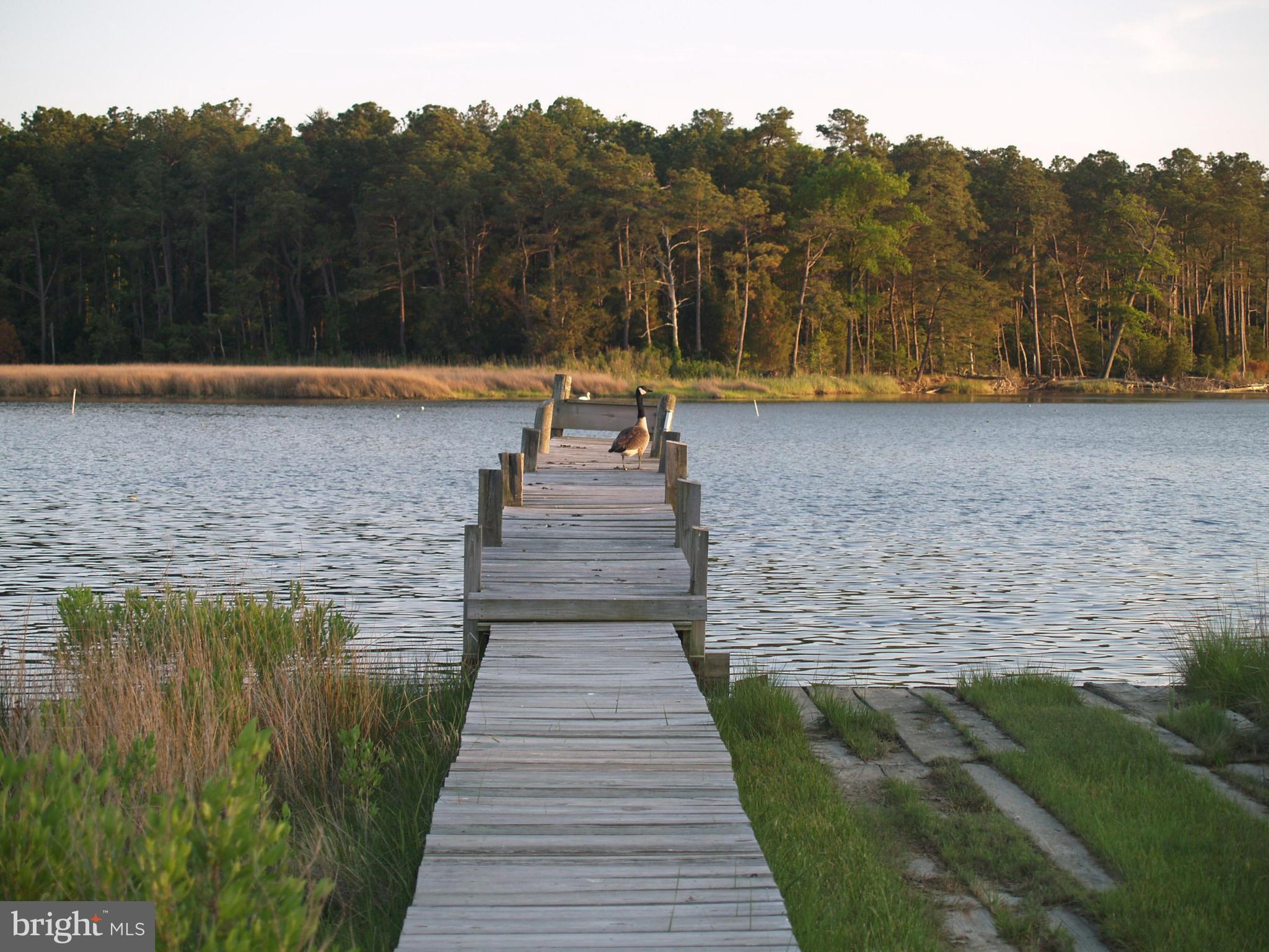 711 Twin Point Cove Road Cambridge, MD 21613 - Photo 36 of 45 Dock