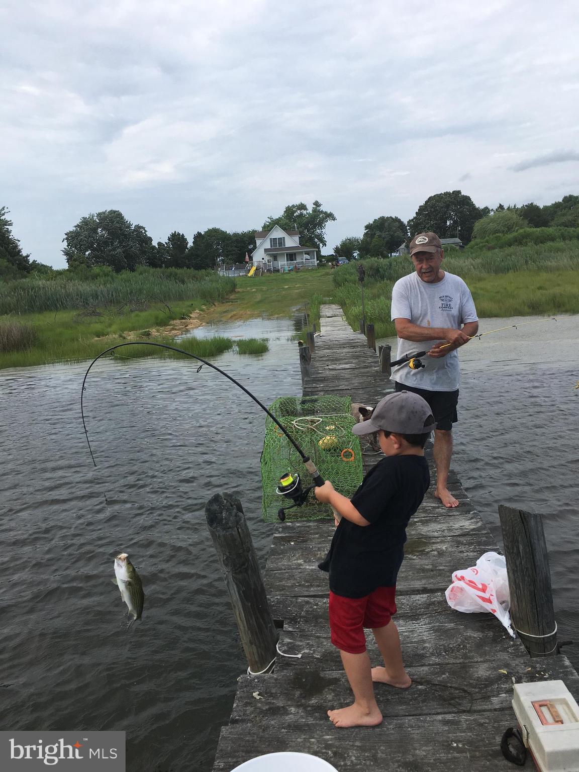 711 Twin Point Cove Road Cambridge, MD 21613 - Photo 37 of 45 Fishing from the Dock