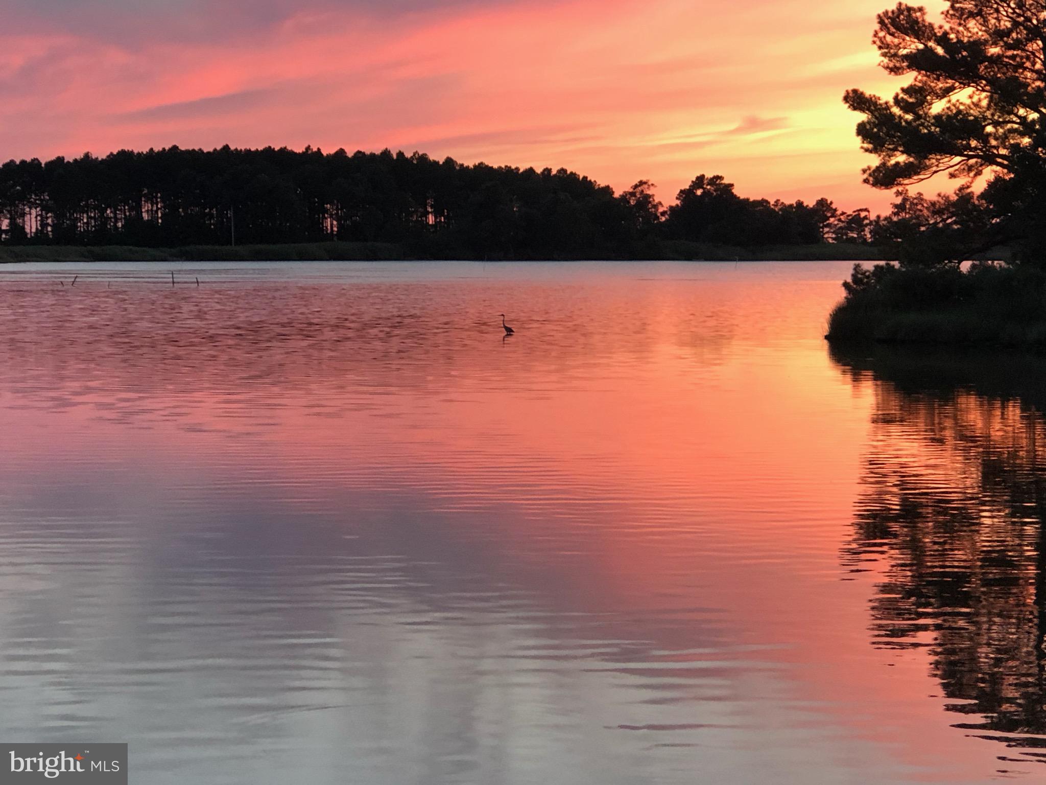 711 Twin Point Cove Road Cambridge, MD 21613 - Photo 43 of 45 Sunset Views