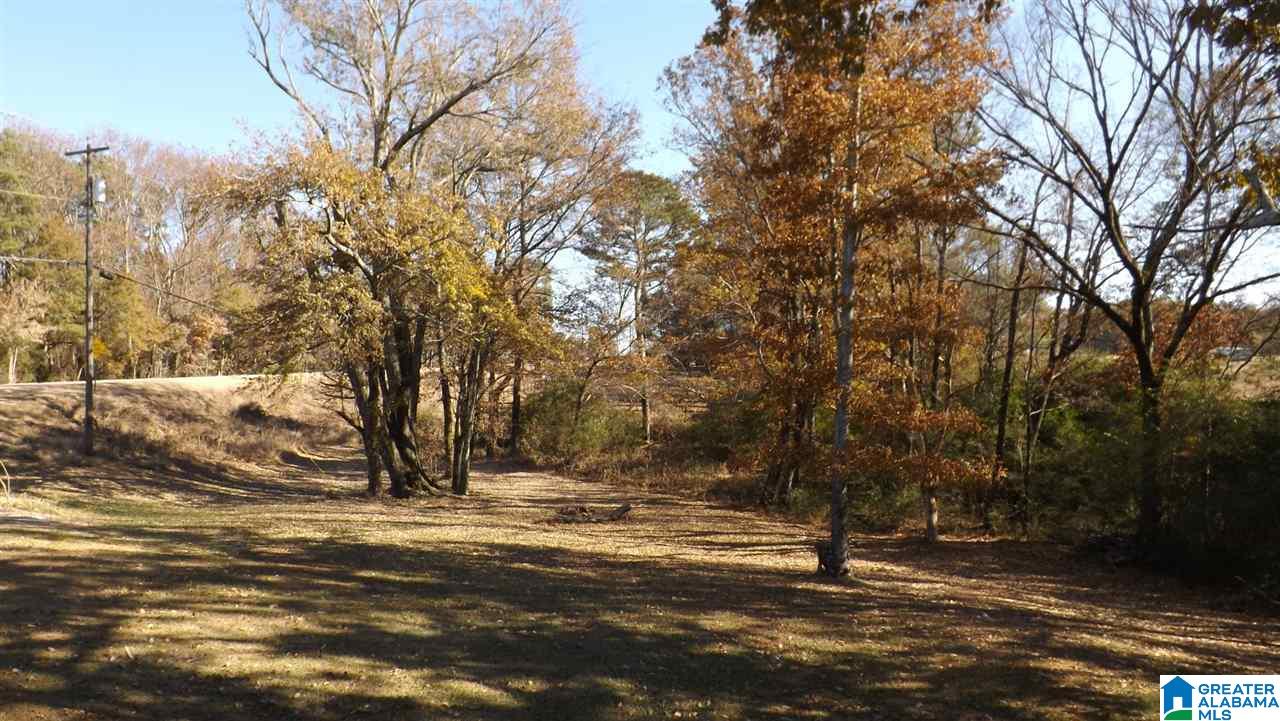 46785 Highway 231 Oneonta, AL 35121 - Photo 47 of 49