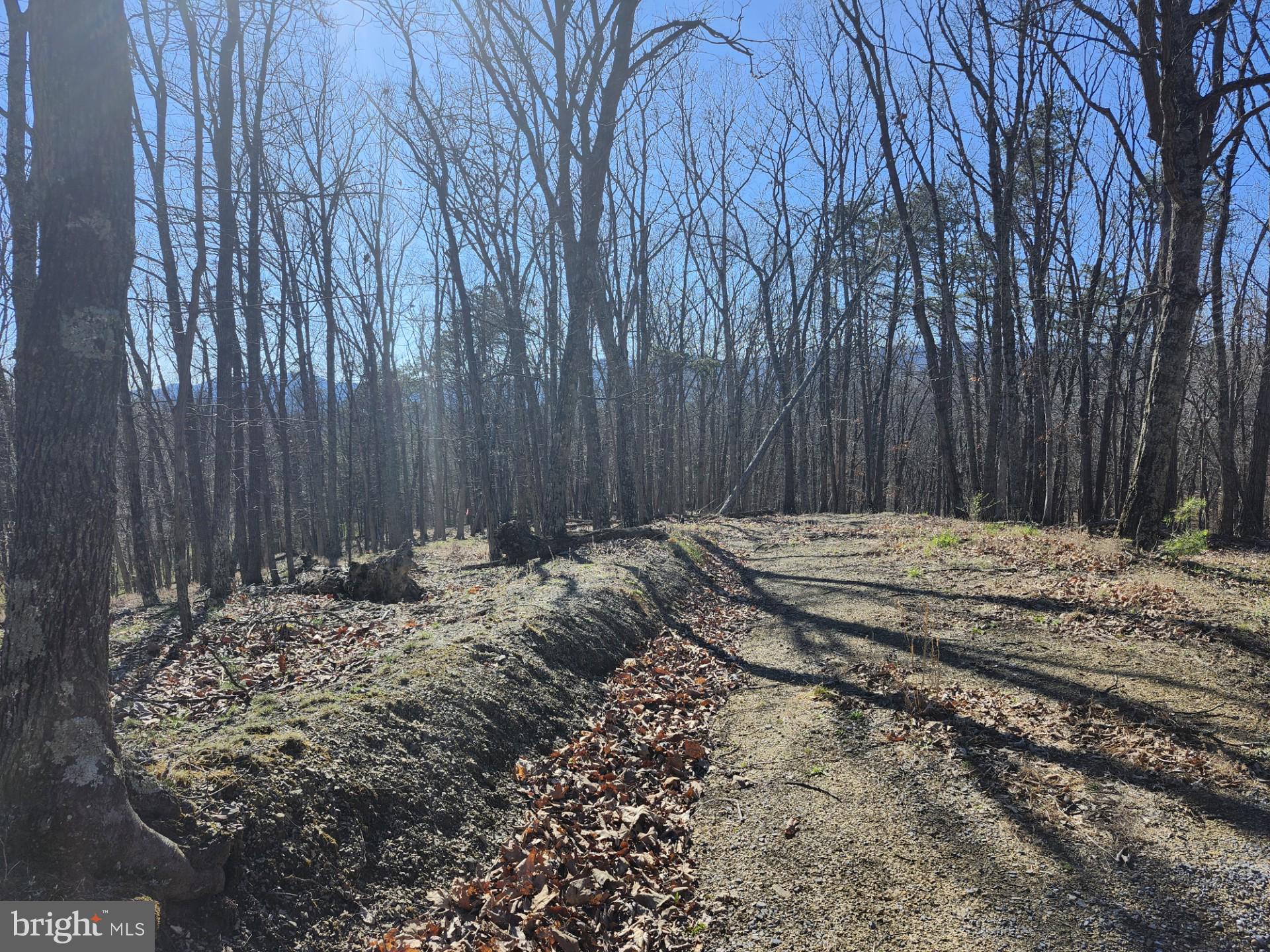 A J Kelley Road Old Fields, WV 26845 - Photo 54 of 65
