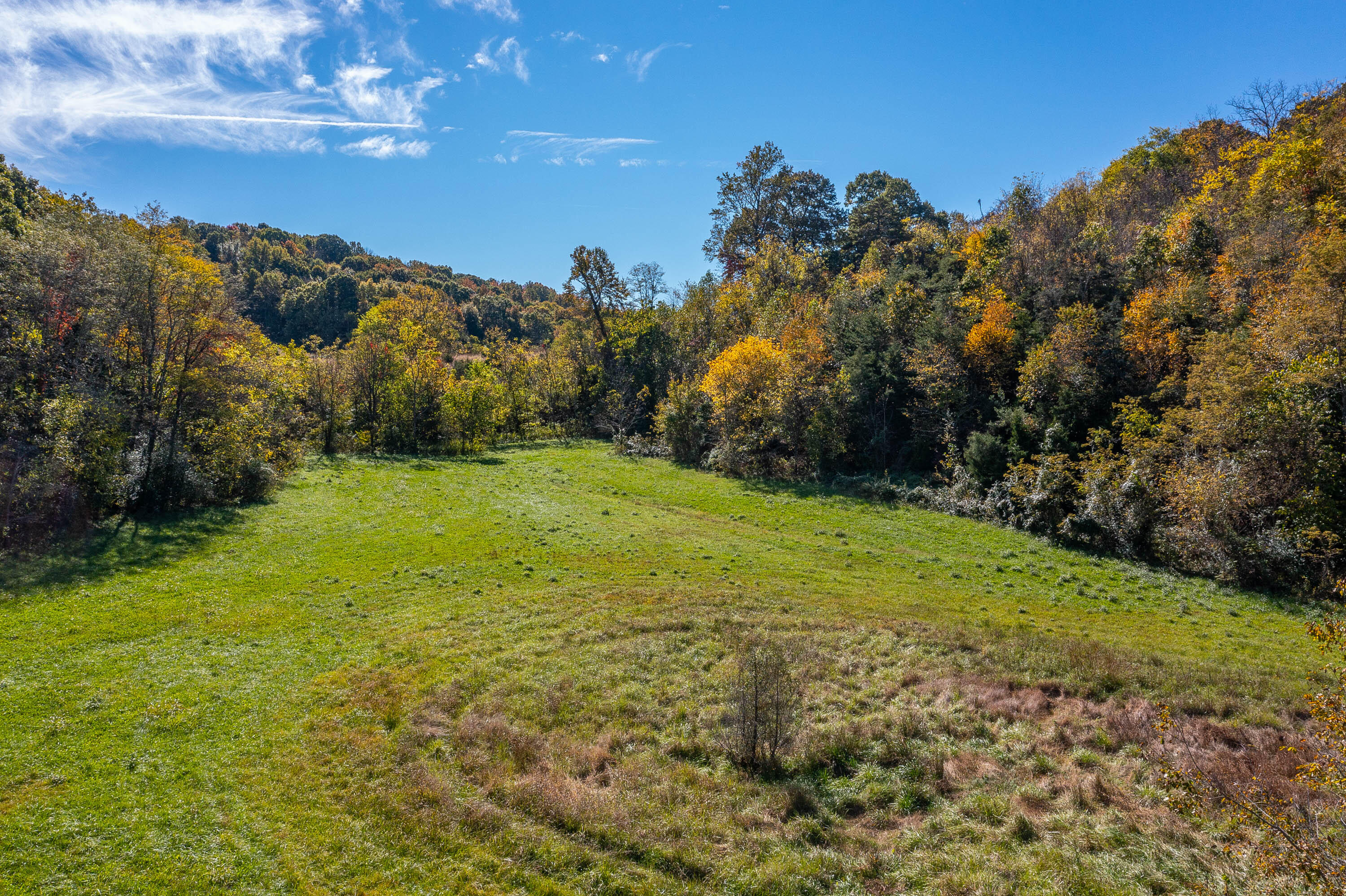 1376 Harold Cemetery Road Greeneville, TN 37745 - Photo 12 of 16 Doty Chapel Rd-11
