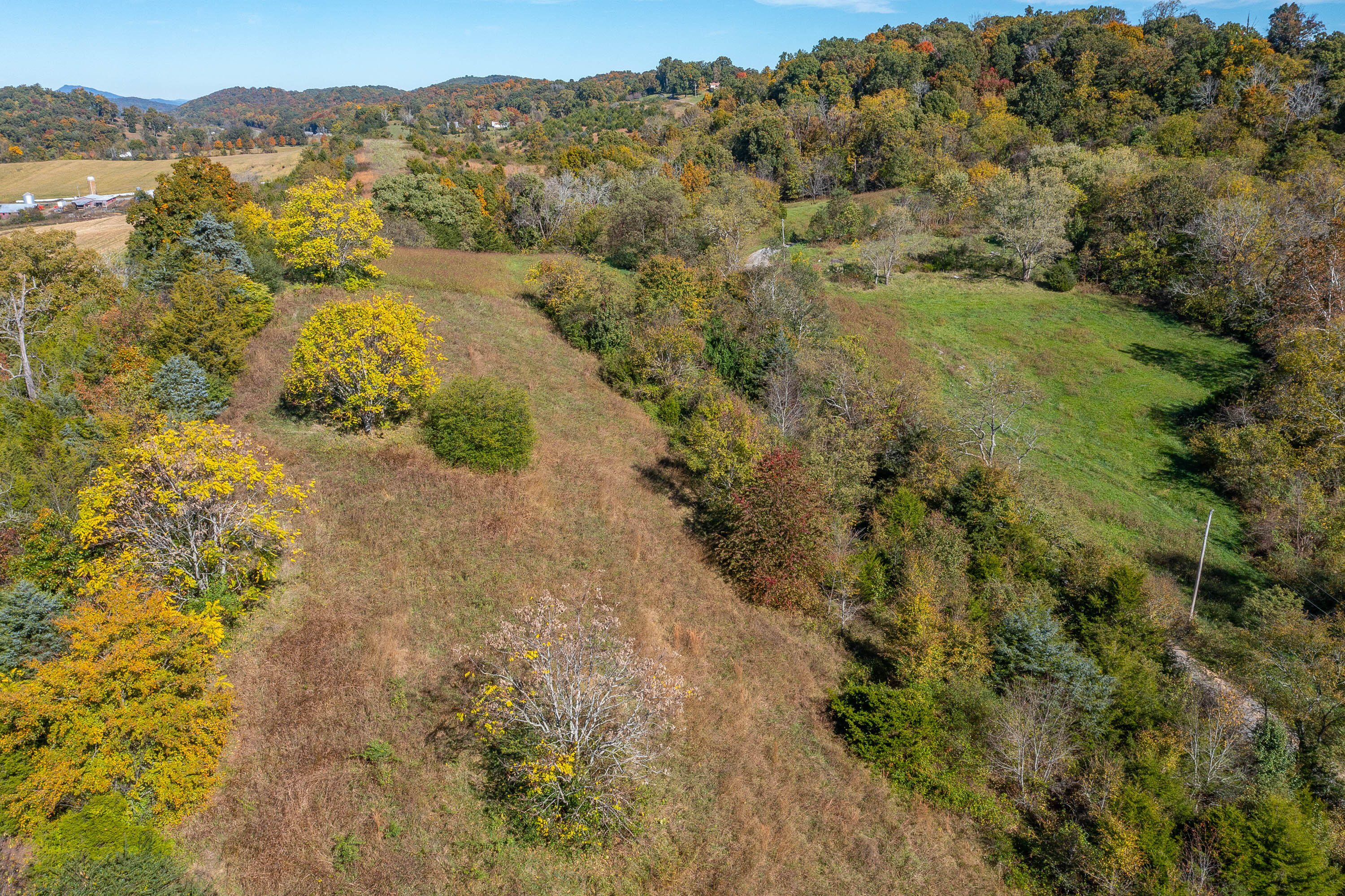 1376 Harold Cemetery Road Greeneville, TN 37745 - Photo 15 of 16 Doty Chapel Rd-14