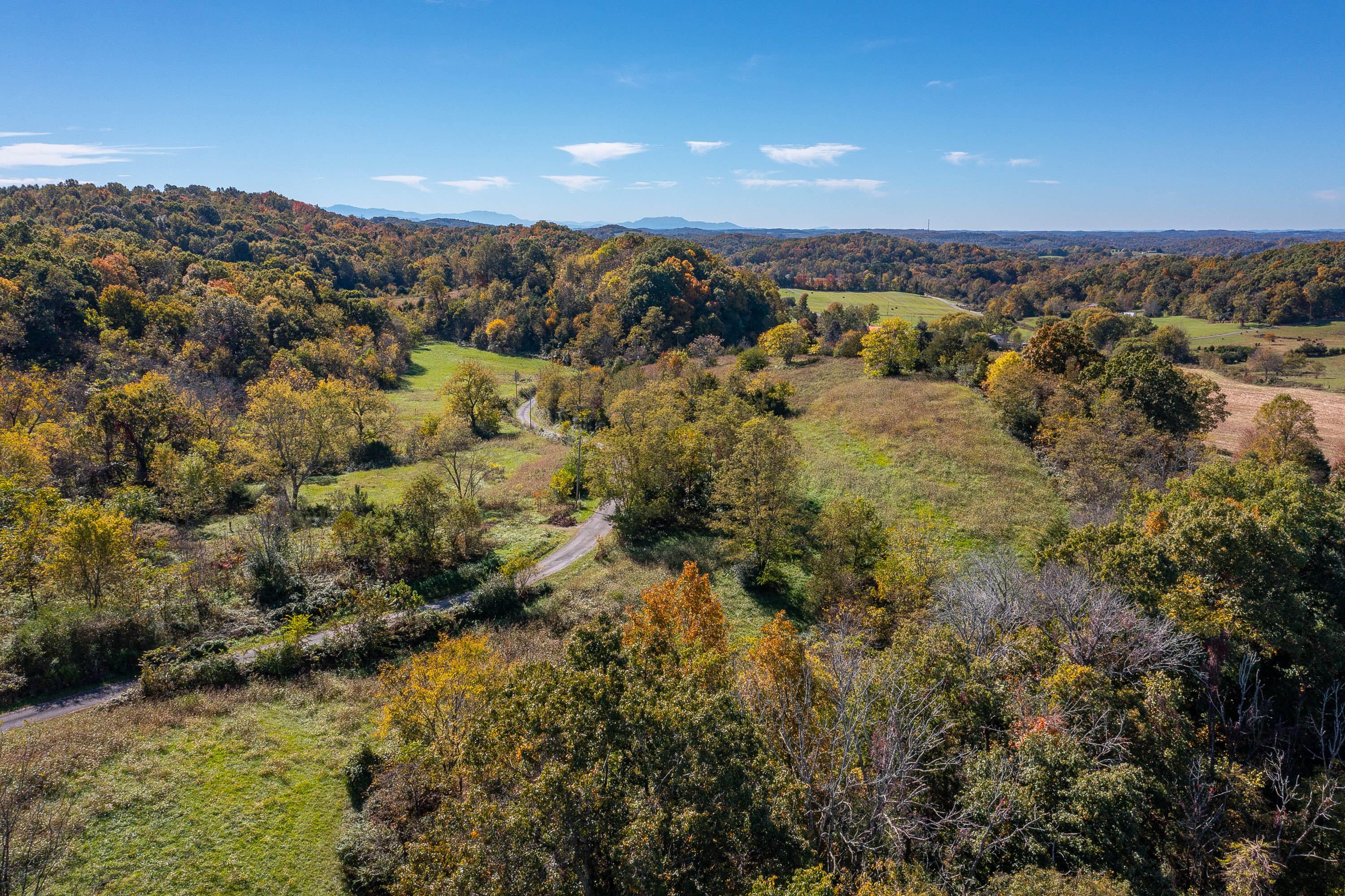 1376 Harold Cemetery Road Greeneville, TN 37745 - Photo 8 of 16 Doty Chapel Rd-7