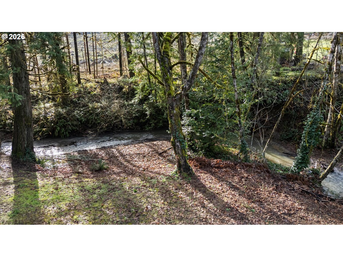 796 Lees Crk Road Myrtle Creek, OR 97457 - Photo 24 of 41