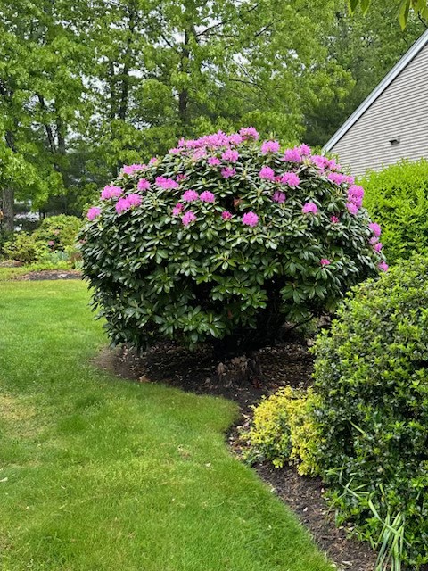 2 Intervale Road Smithfield, RI 02917 - Photo 35 of 38 Gallery Image 35