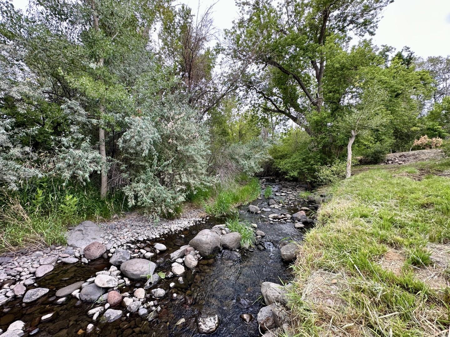 21095 Marion Road Eckert, CO 81418 - Photo 36 of 36 Gallery Image 36