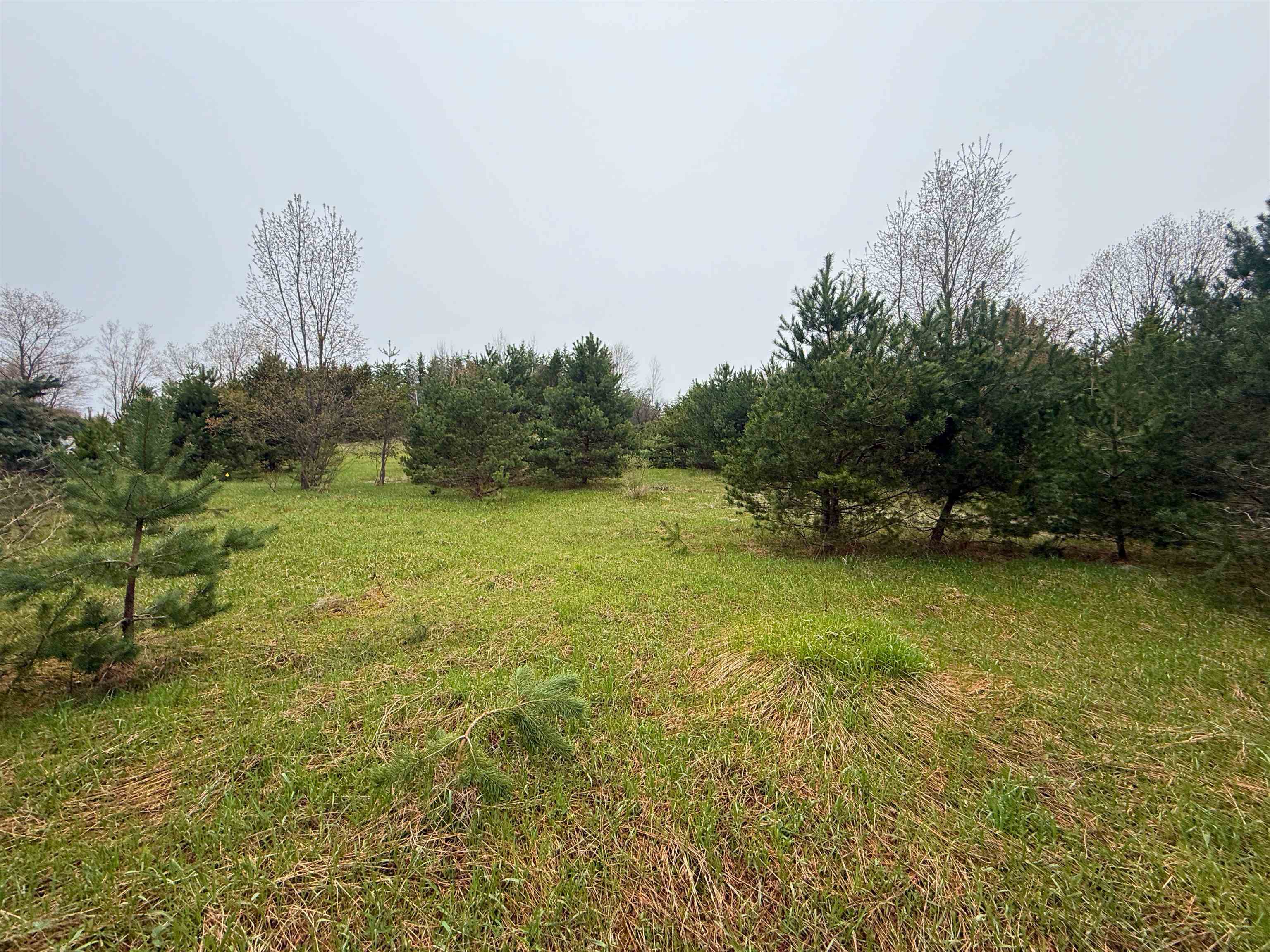 0 West County Line Road, Unit LOT: C Thompsonville, MI 49683 - Photo 18 of 21