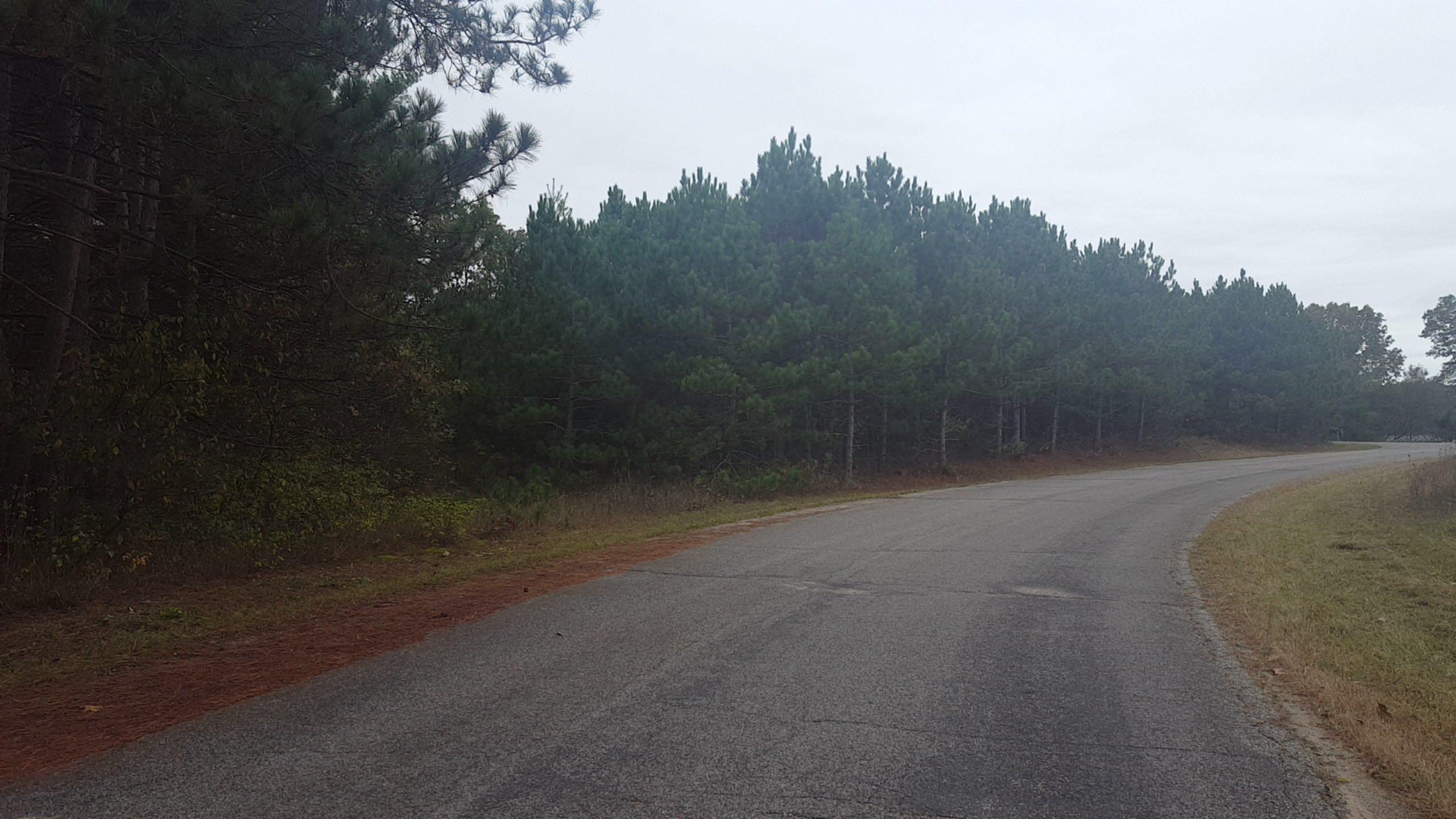 heram road executive lots 2