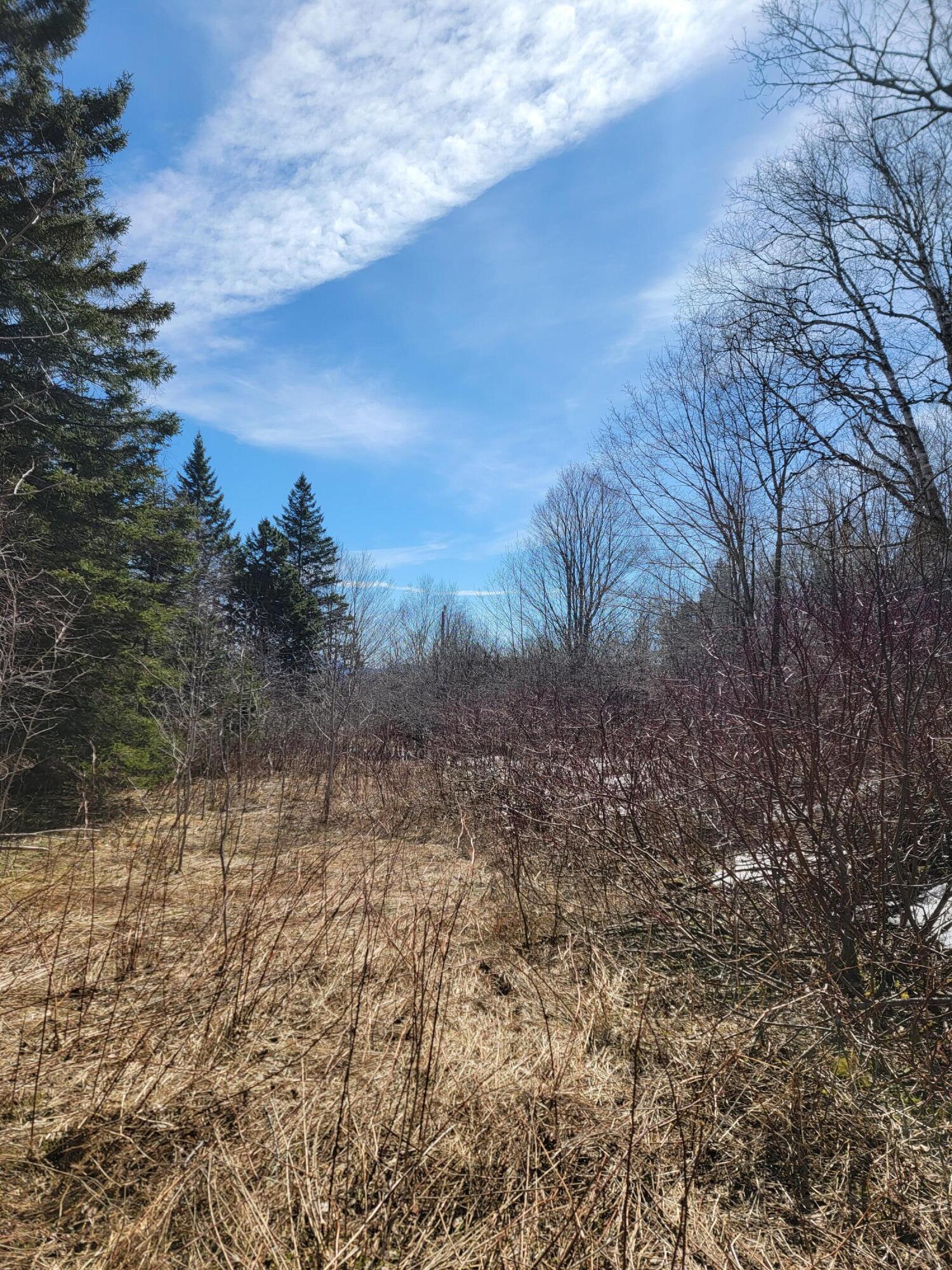 Lot 37 Quimby Pond Road Rangeley, ME 04970 - Photo 3 of 22 flat land