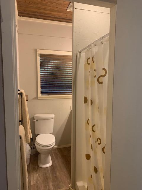 290 Cardinal Hill Road Ingram, TX 78025 - Photo 42 of 57 a bathroom with a toilet and a shower