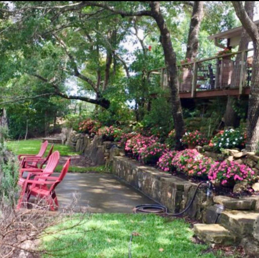 290 Cardinal Hill Road Ingram, TX 78025 - Photo 45 of 57 a view of a wooden bench with some plants