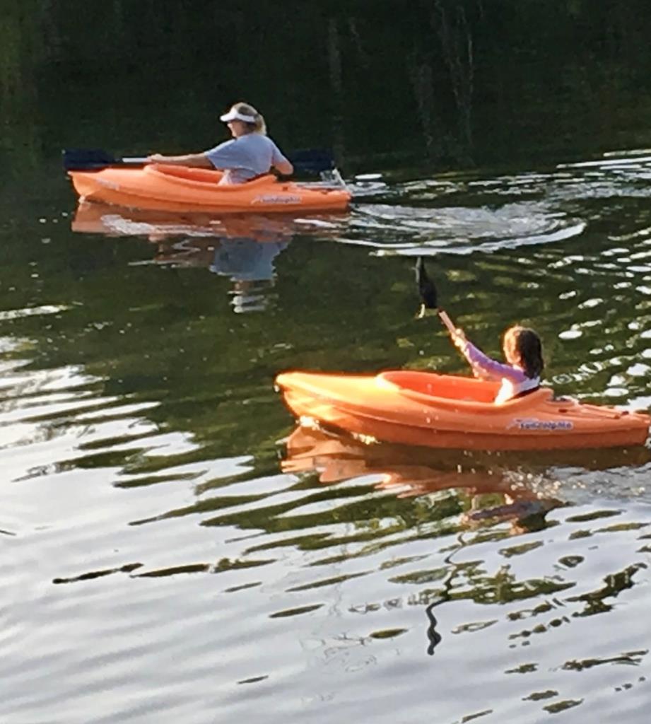 290 Cardinal Hill Road Ingram, TX 78025 - Photo 51 of 57