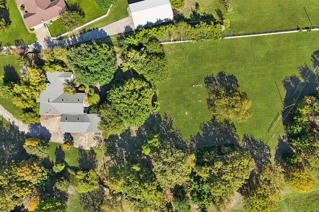 a view of a garden with plants