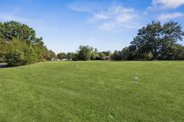 a view of a green field with plants in back