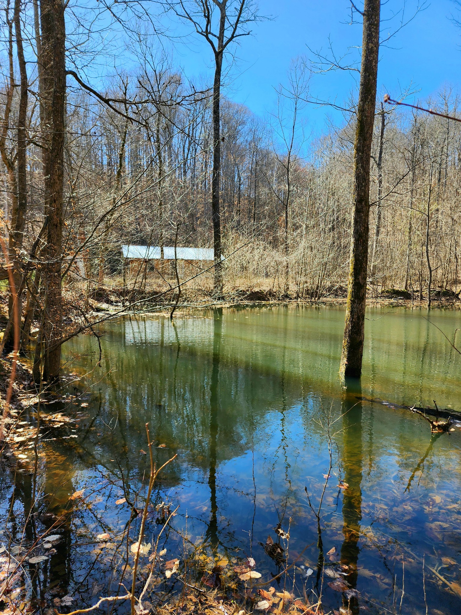 13490 Mt Carmel Road Decaturville, TN 38329 - Photo 11 of 34 Gallery Image 11