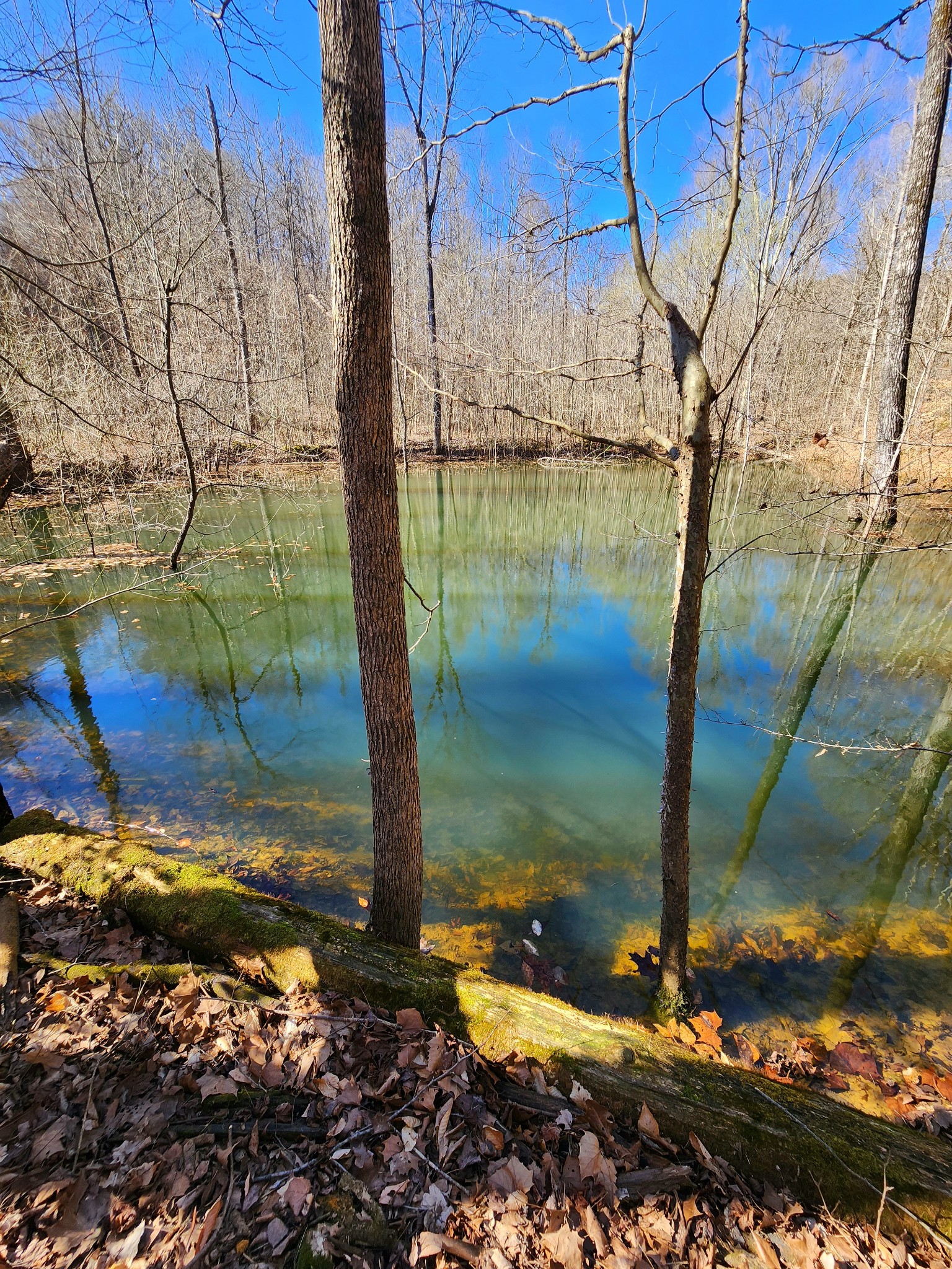 13490 Mt Carmel Road Decaturville, TN 38329 - Photo 12 of 34 Gallery Image 12