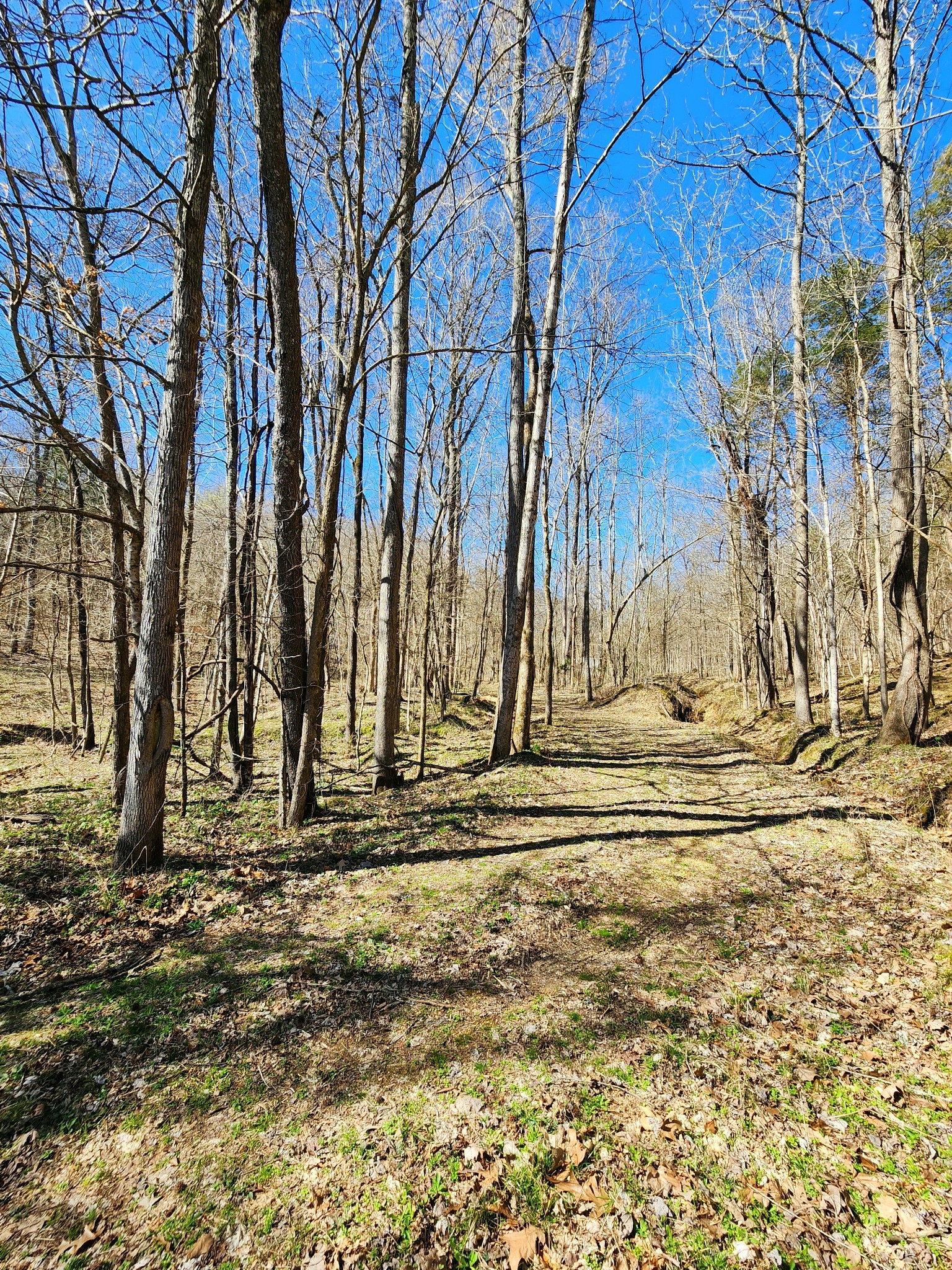 13490 Mt Carmel Road Decaturville, TN 38329 - Photo 2 of 34 Gallery Image 2