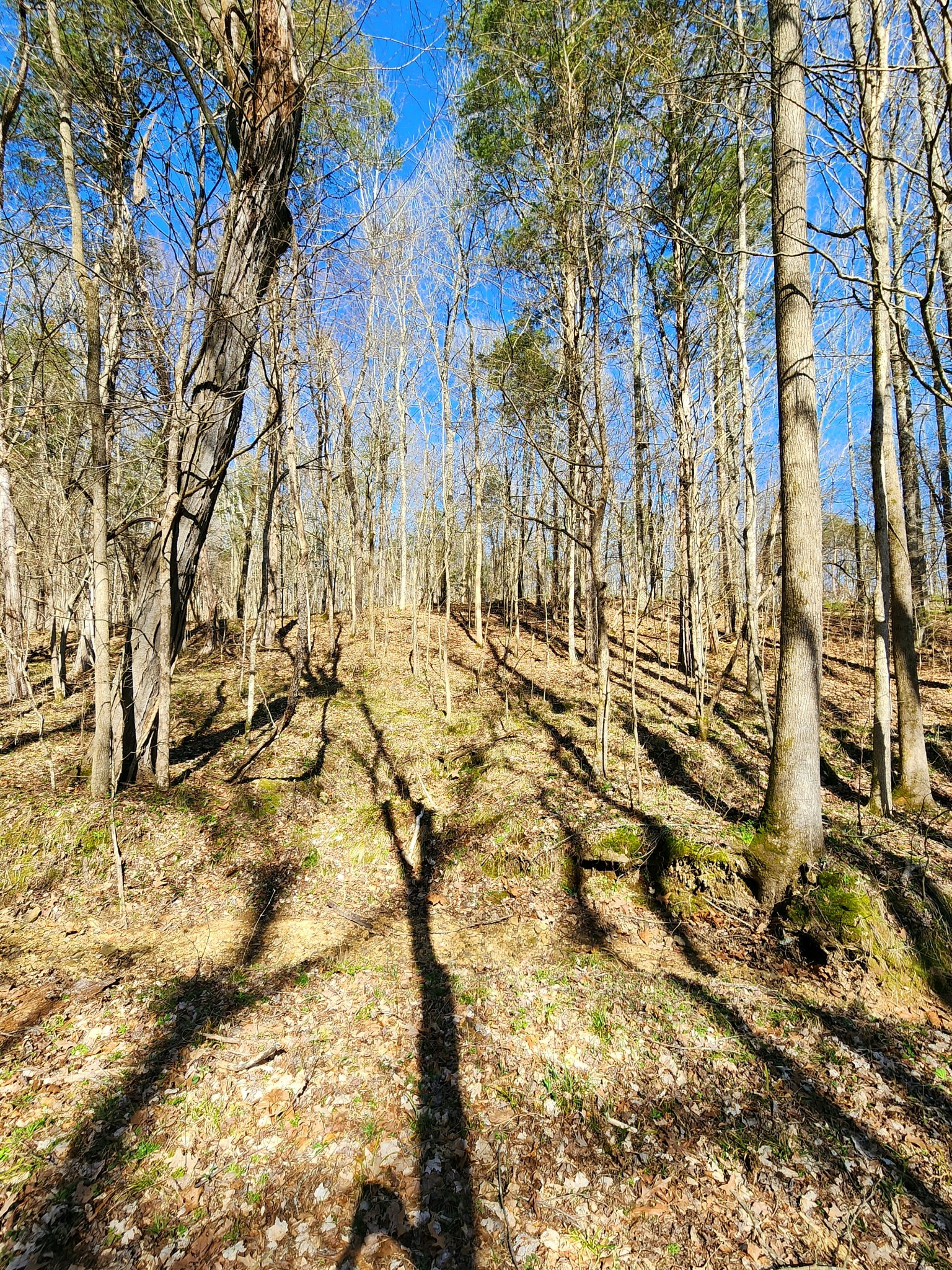 13490 Mt Carmel Road Decaturville, TN 38329 - Photo 31 of 34 Gallery Image 31