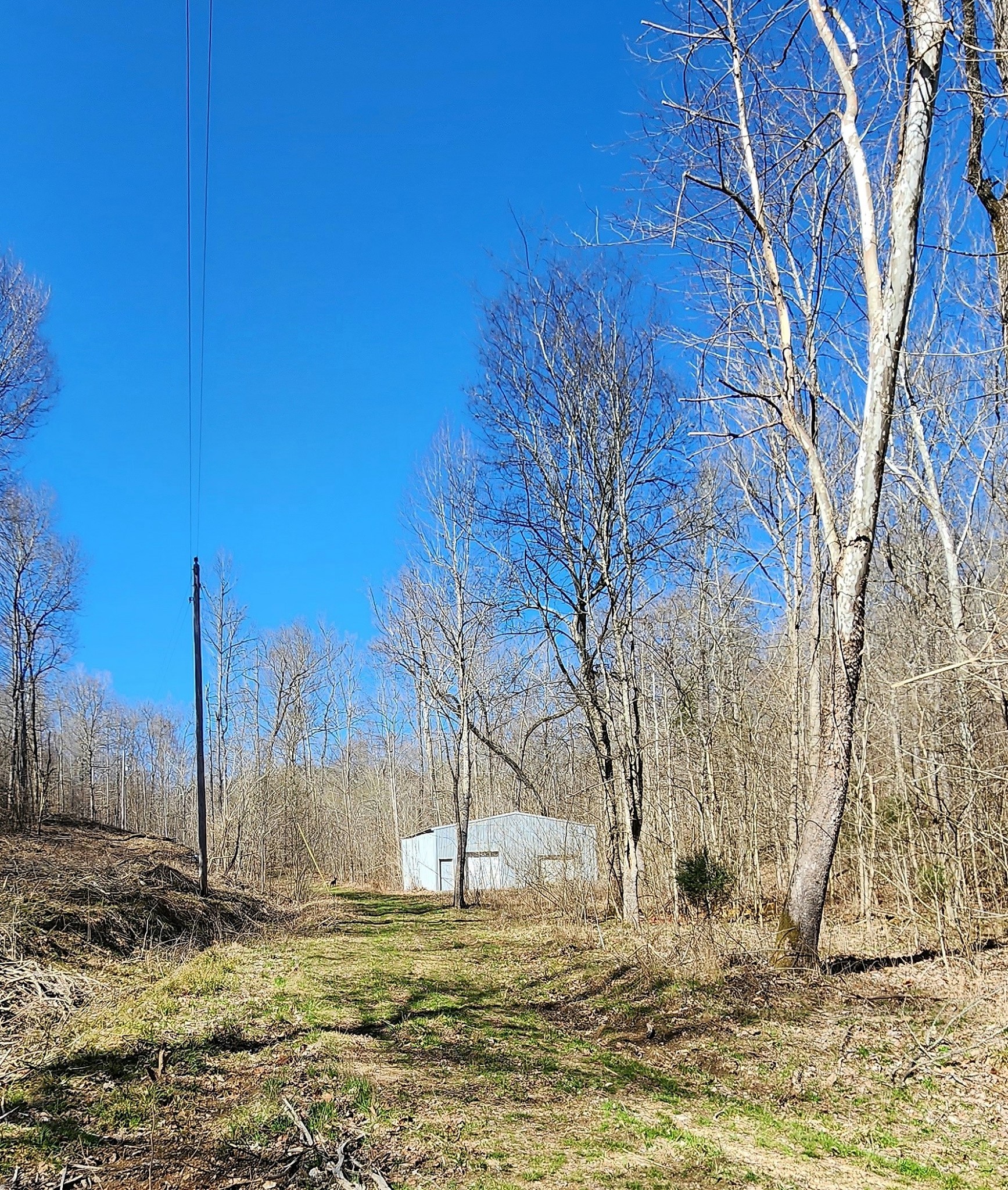 13490 Mt Carmel Road Decaturville, TN 38329 - Photo 4 of 34 Gallery Image 4
