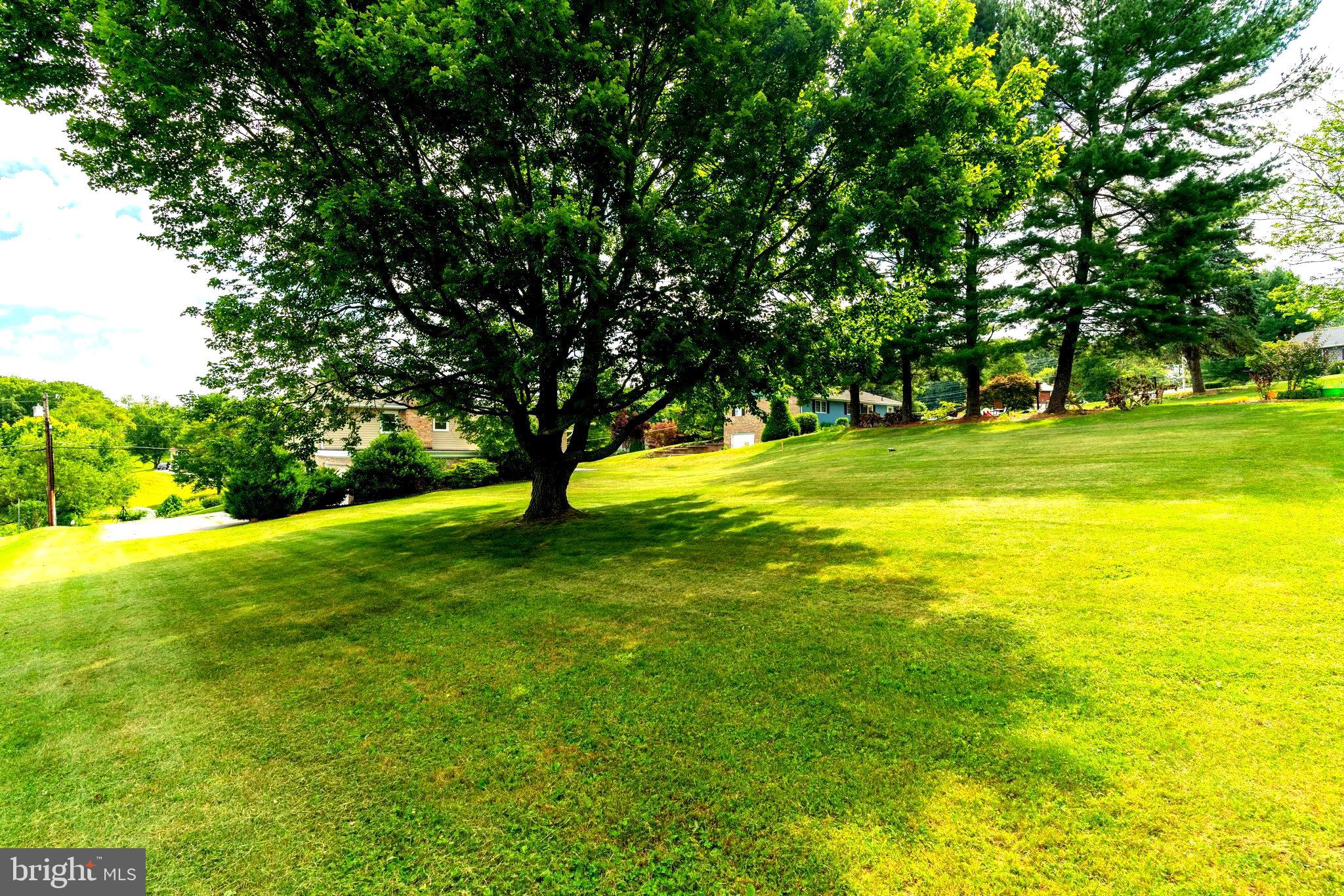 1011 Gahle Road Westminster, MD 21157 - Photo 47 of 52 Shade in the Back Yard