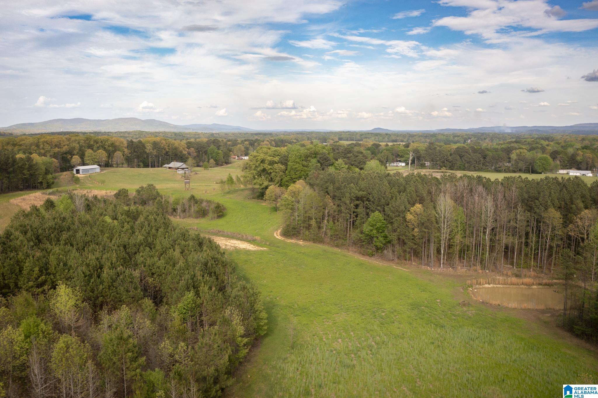 1325 Ledbetter Road Munford, AL 36268 - Photo 24 of 85