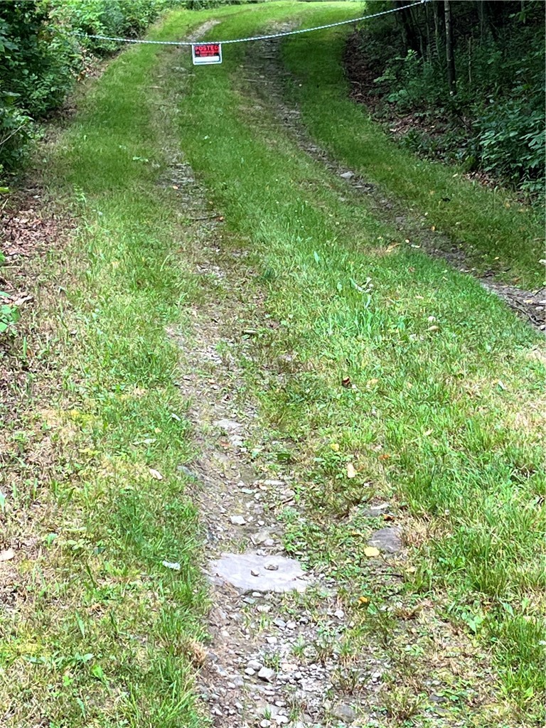 0 Marvin Hollow Road Walton, NY 13856 - Photo 3 of 22 This marks the end on the southern property line