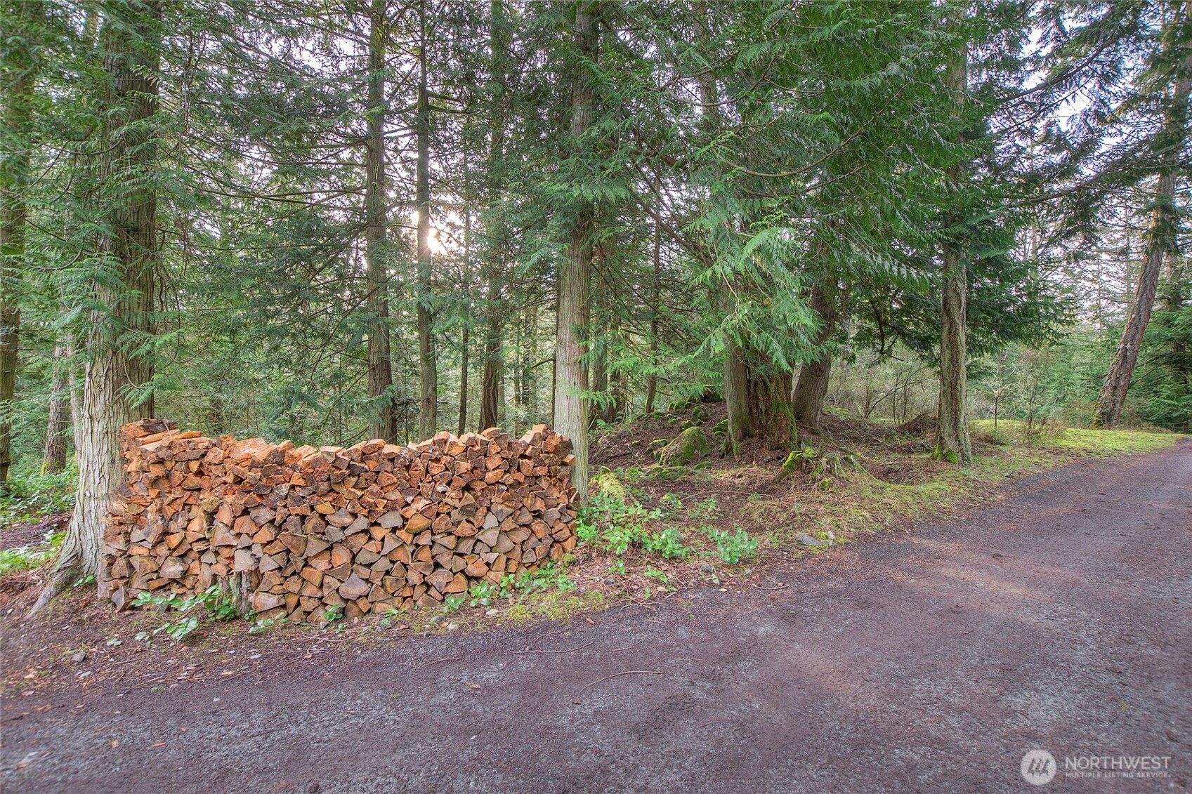 1536 Neck Point Road Shaw Island, WA 98286 - Photo 14 of 33 Gallery Image 14