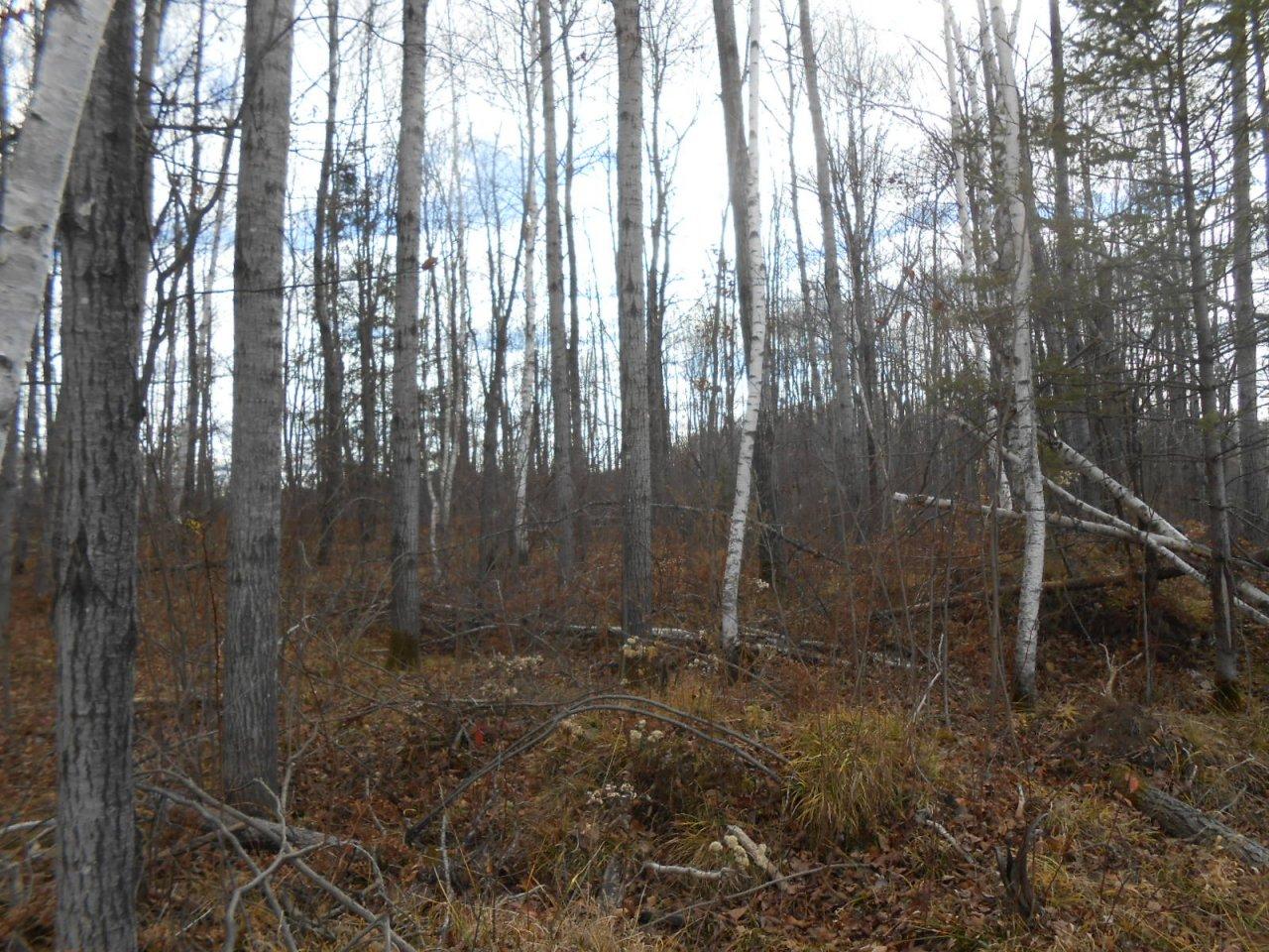 On Goetzke Road Prentice, WI 54556 - Photo 25 of 33 Gallery Image 25