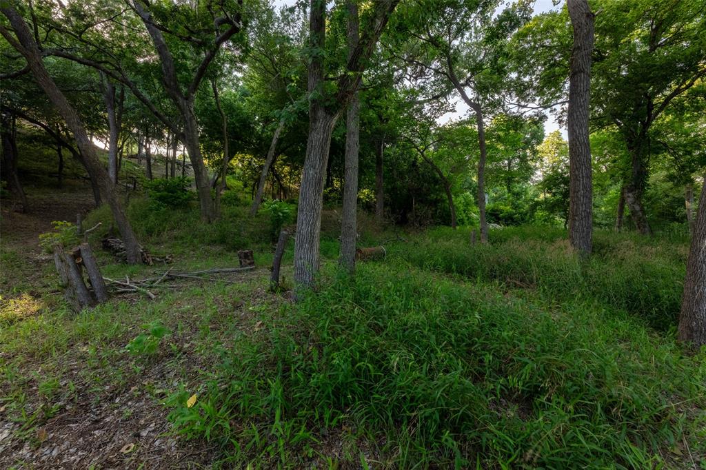 9710 Bellechase Road Granbury, TX 76049 - Photo 30 of 40 a view of a forest with a trees