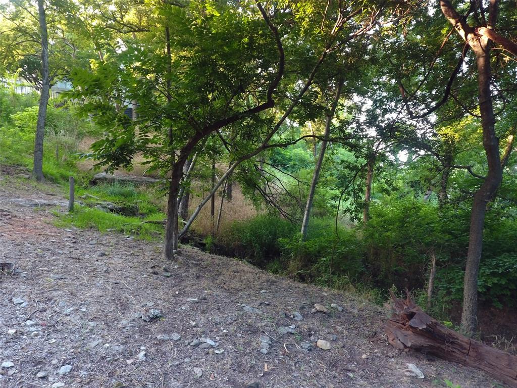 9710 Bellechase Road Granbury, TX 76049 - Photo 39 of 40 a view of a yard with plants and trees