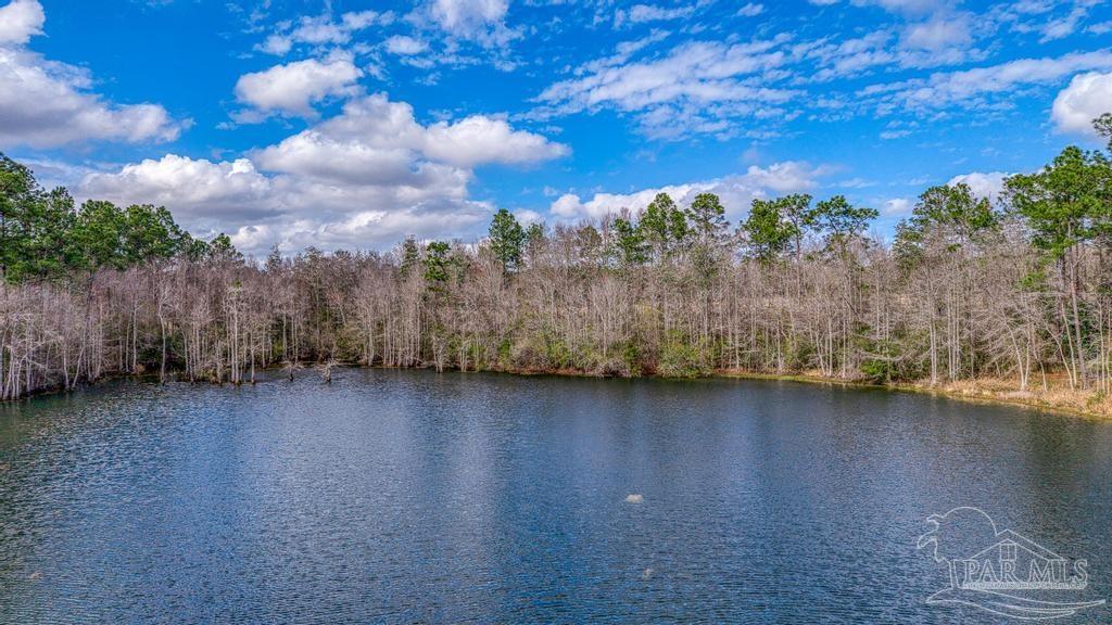 1861 Booth Lake Road Cantonment, FL 32533 - Photo 12 of 17