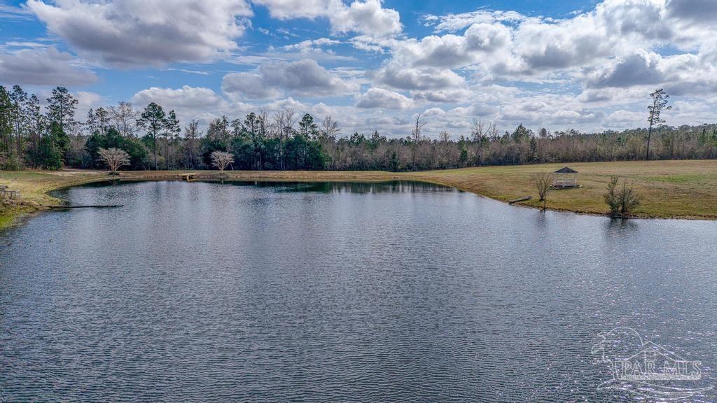 1861 Booth Lake Road Cantonment, FL 32533 - Photo 3 of 17