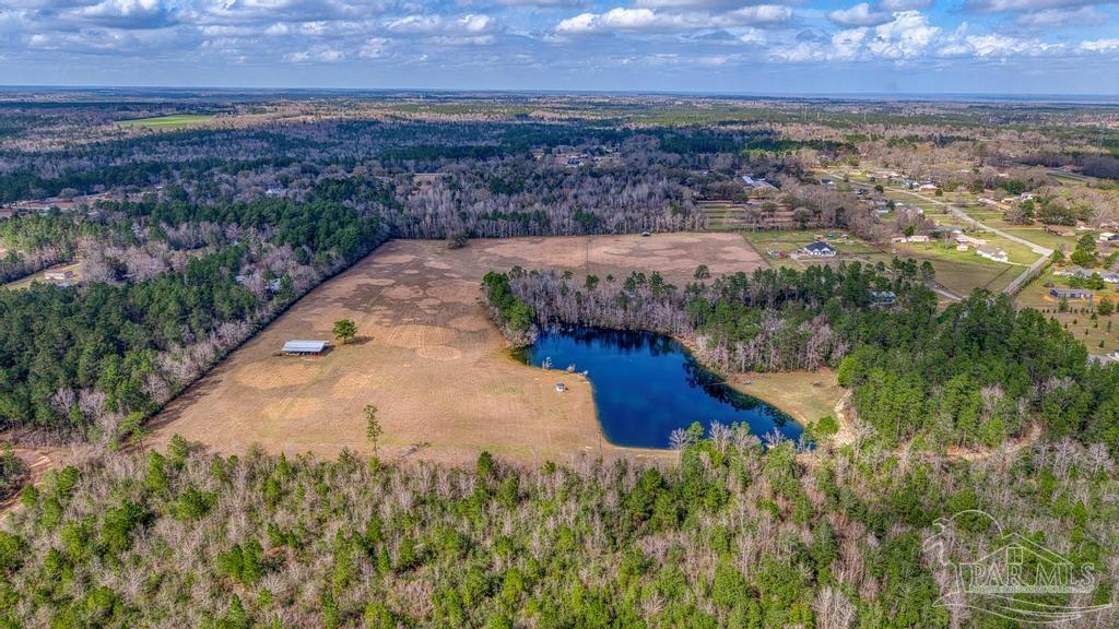 1861 Booth Lake Road Cantonment, FL 32533 - Photo 9 of 17