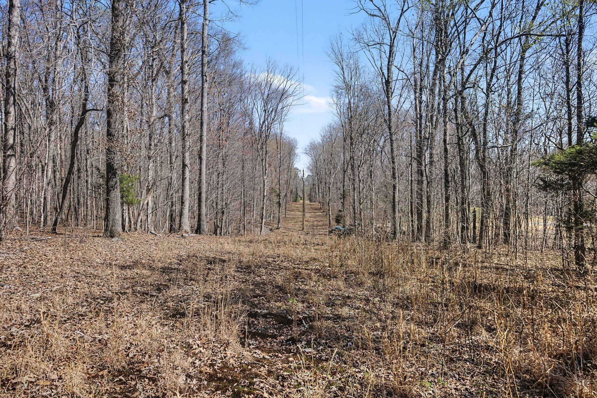4749 Parker Loop Road Birchwood, TN 37308 - Photo 6 of 31 Gallery Image 6