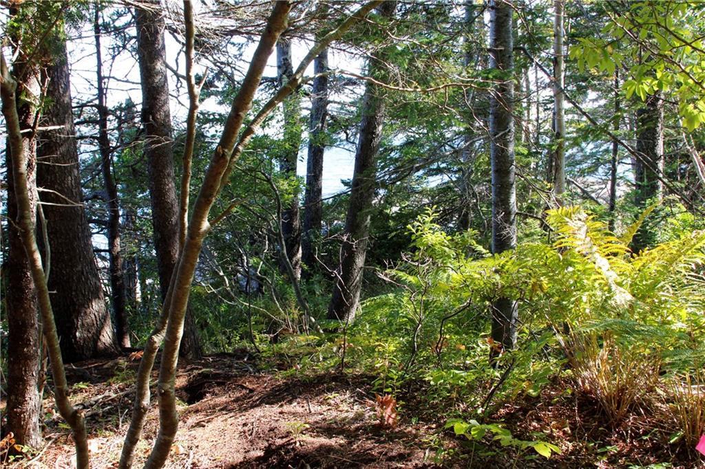 181 Lighthouse Point Road Prospect Harbor, ME 04669 - Photo 12 of 15 A possible building site