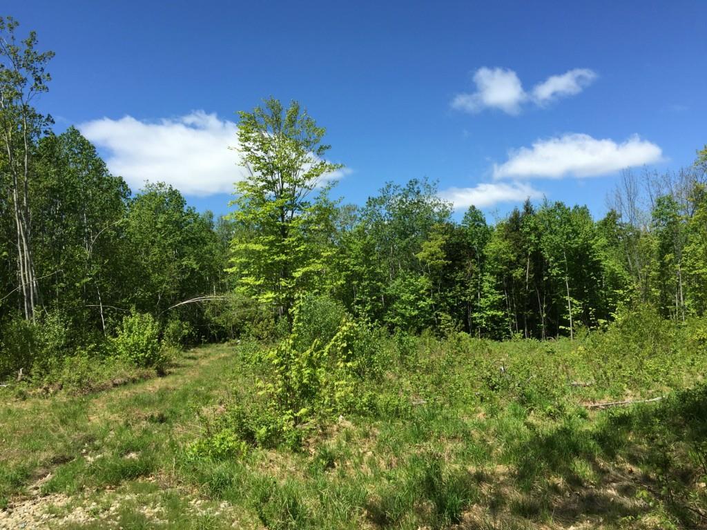 Lot 4 Rover Road Dixfield, ME 04224 - Photo 32 of 34 Cleared land
