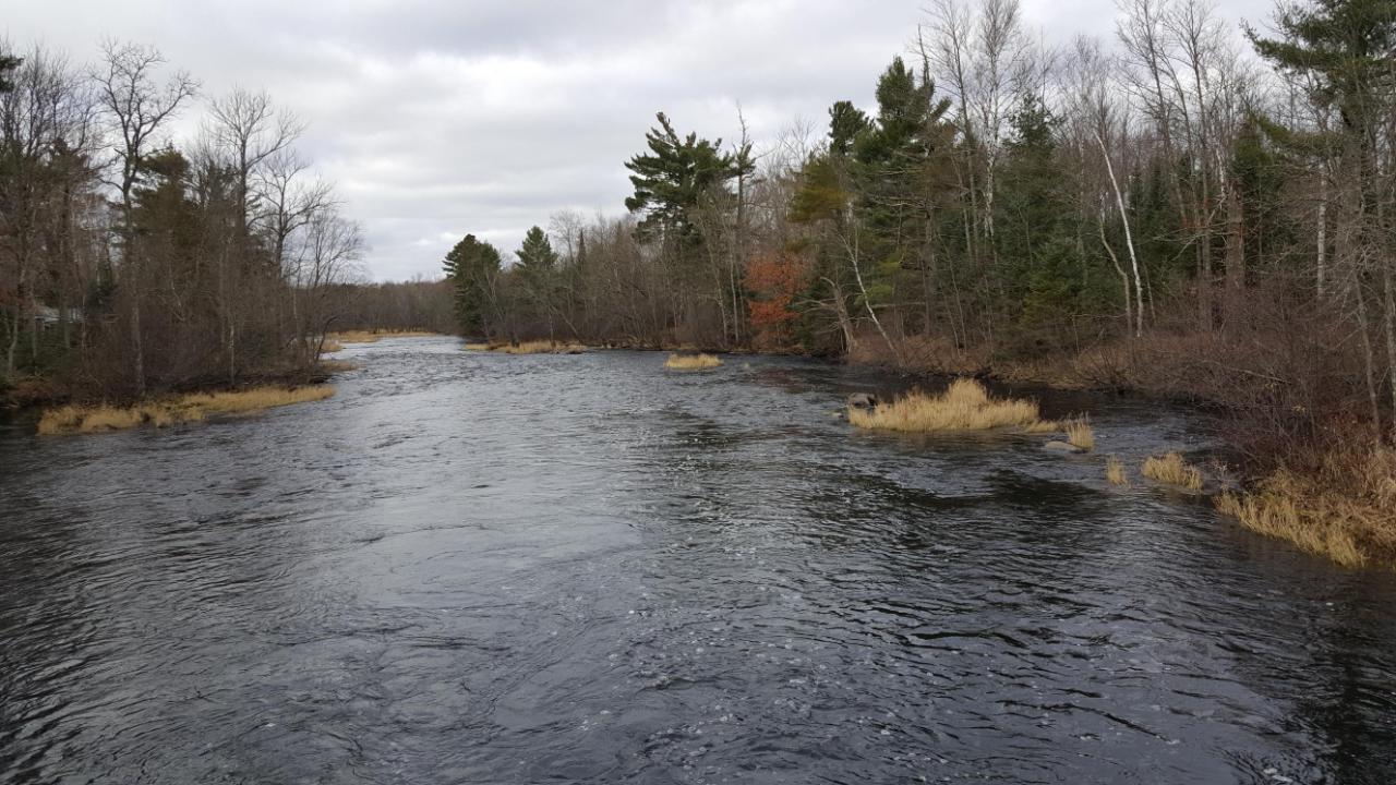 4.8-acre Sweitzer Road Winter, WI 54896 - Photo 13 of 20 Gallery Image 13