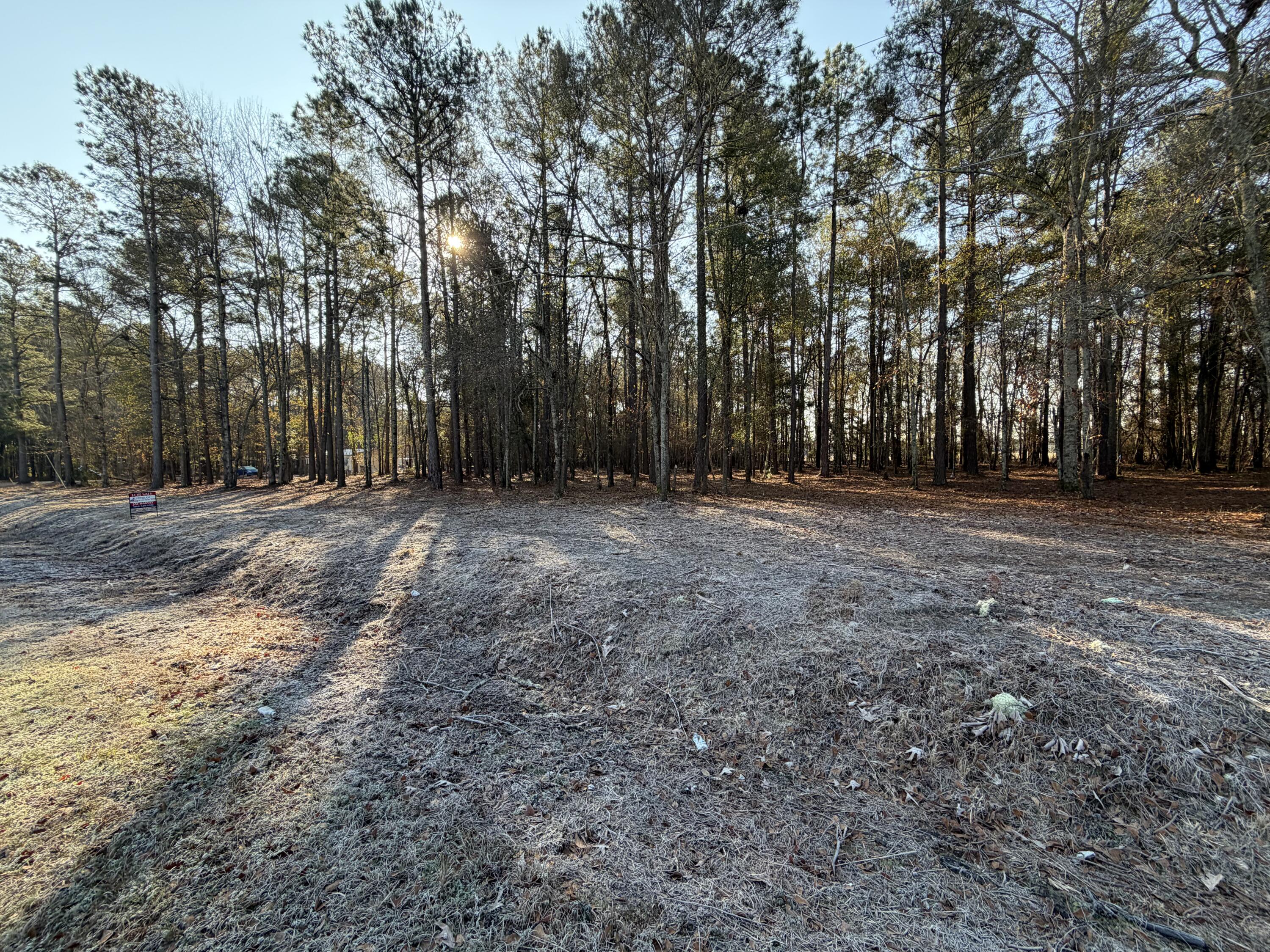 0 Sapling Road Barnwell, SC 29812 - Photo 1 of 1
