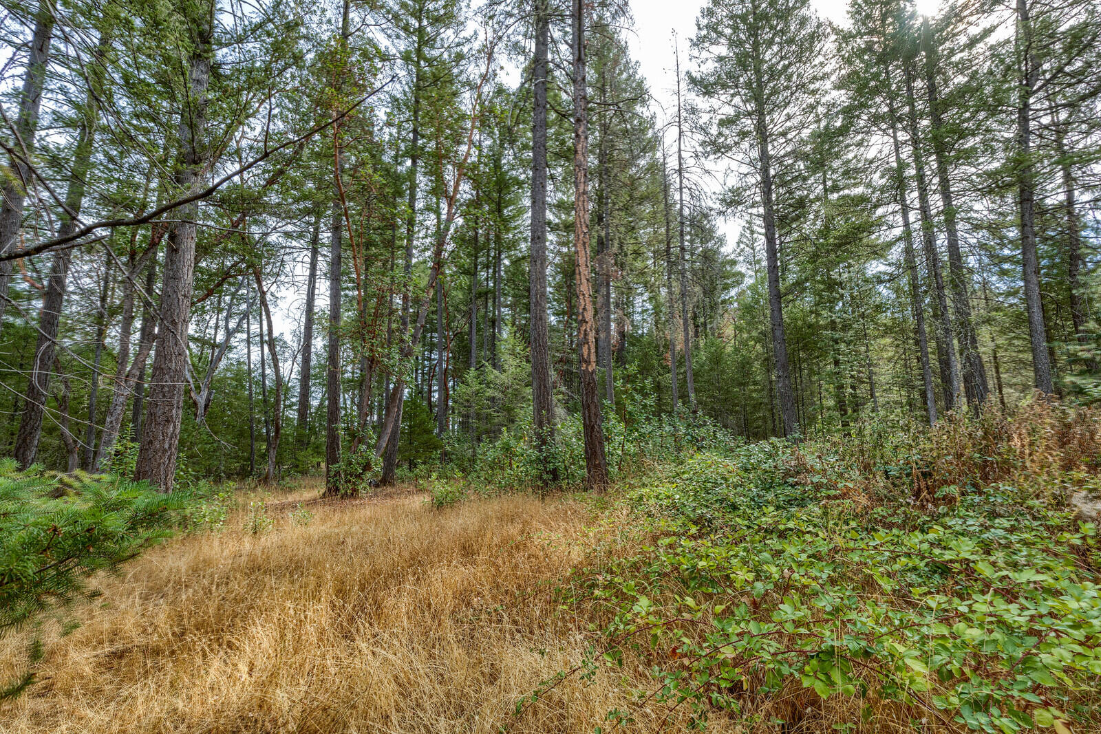3217 Riverbanks Road Grants Pass, OR 97527 - Photo 32 of 37 08_RR_8_mls