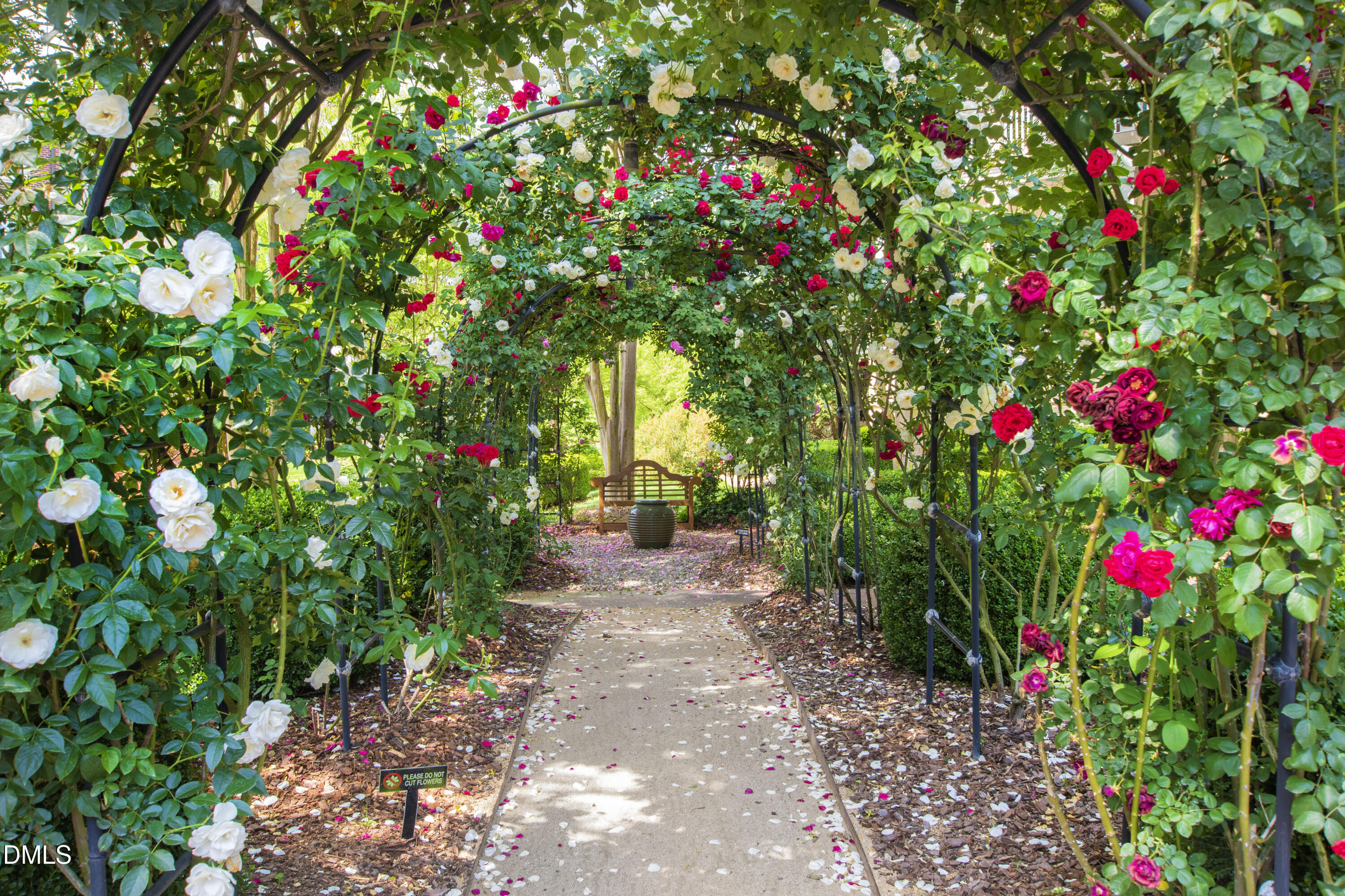 2813 Market Bridge Lane, Unit 205 Raleigh, NC 27608 - Photo 25 of 28 Market (38)