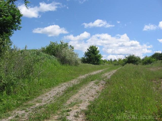 Tbd Burns Line Croswell, MI 48422 - Photo 13 of 19