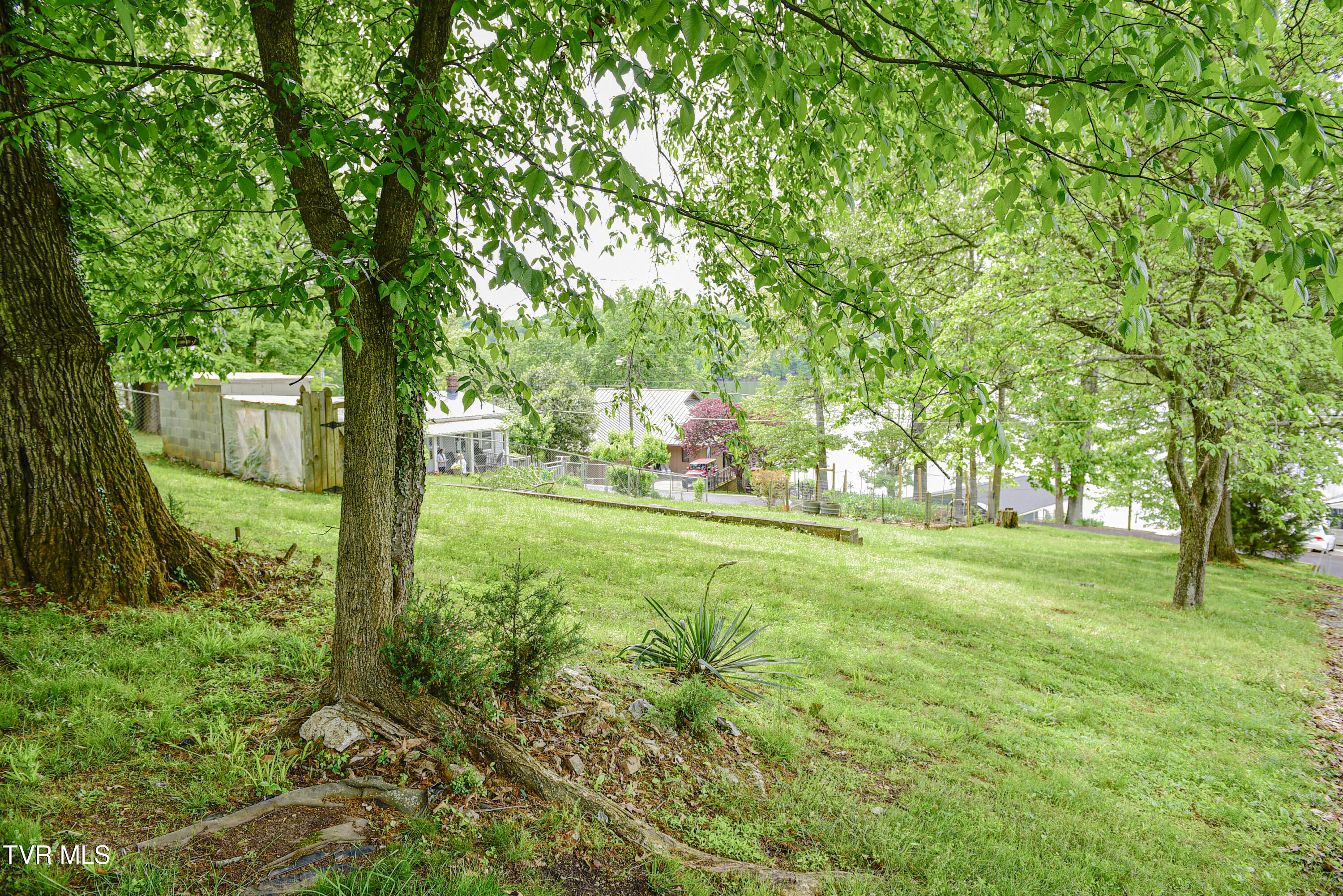 1033 Haw Ridge Road Piney Flats, TN 37686 - Photo 9 of 9 1033 Haw Ridge Rd From rear of lot copy