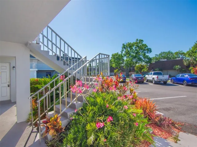 a flower plants in front of a house