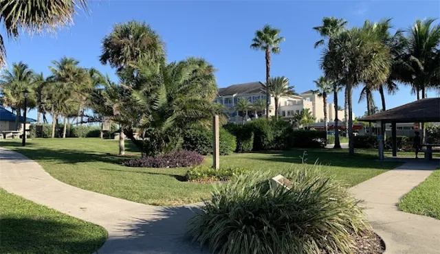 a view of a park with palm trees